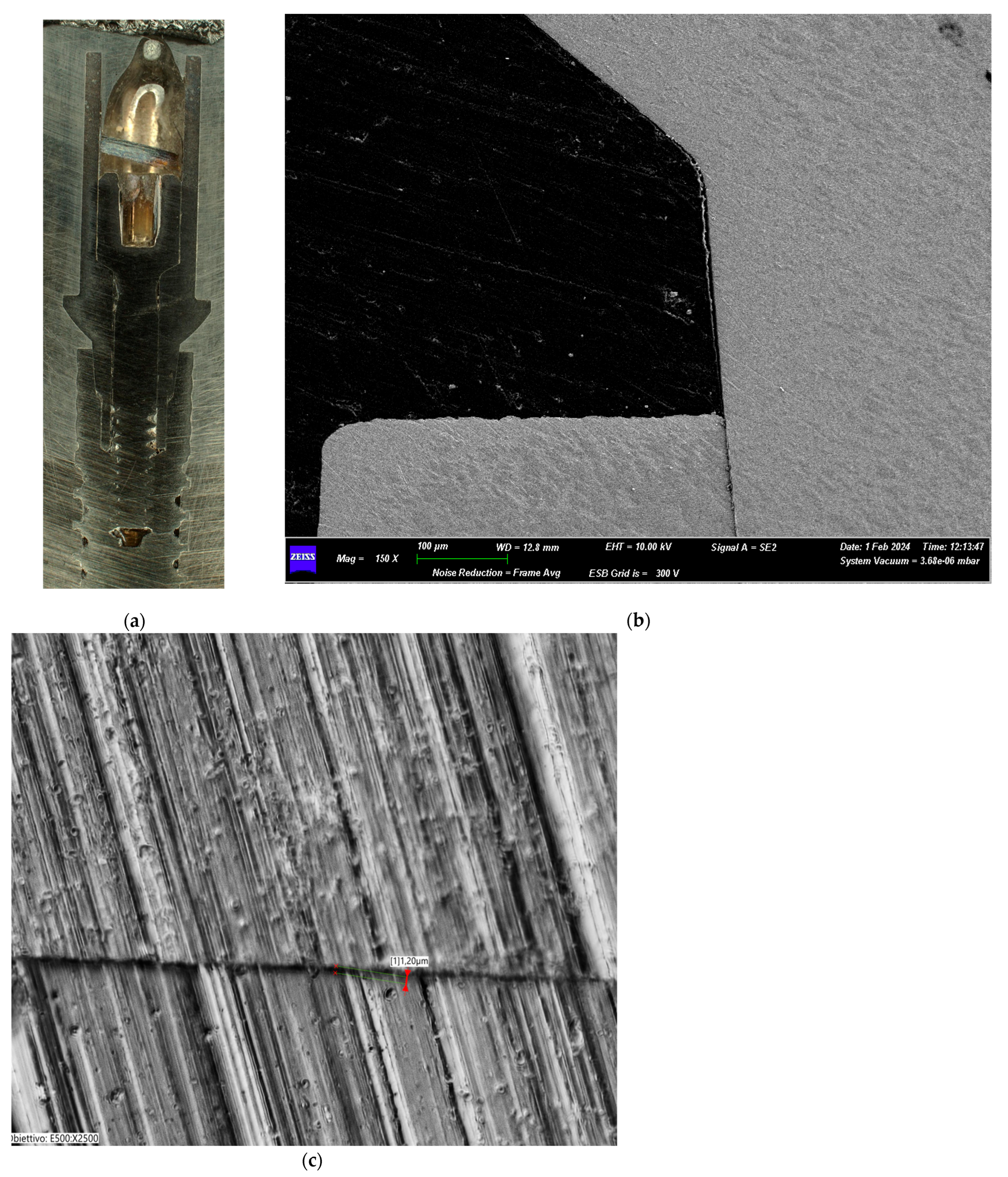 Biomimetics 10 00511 g009