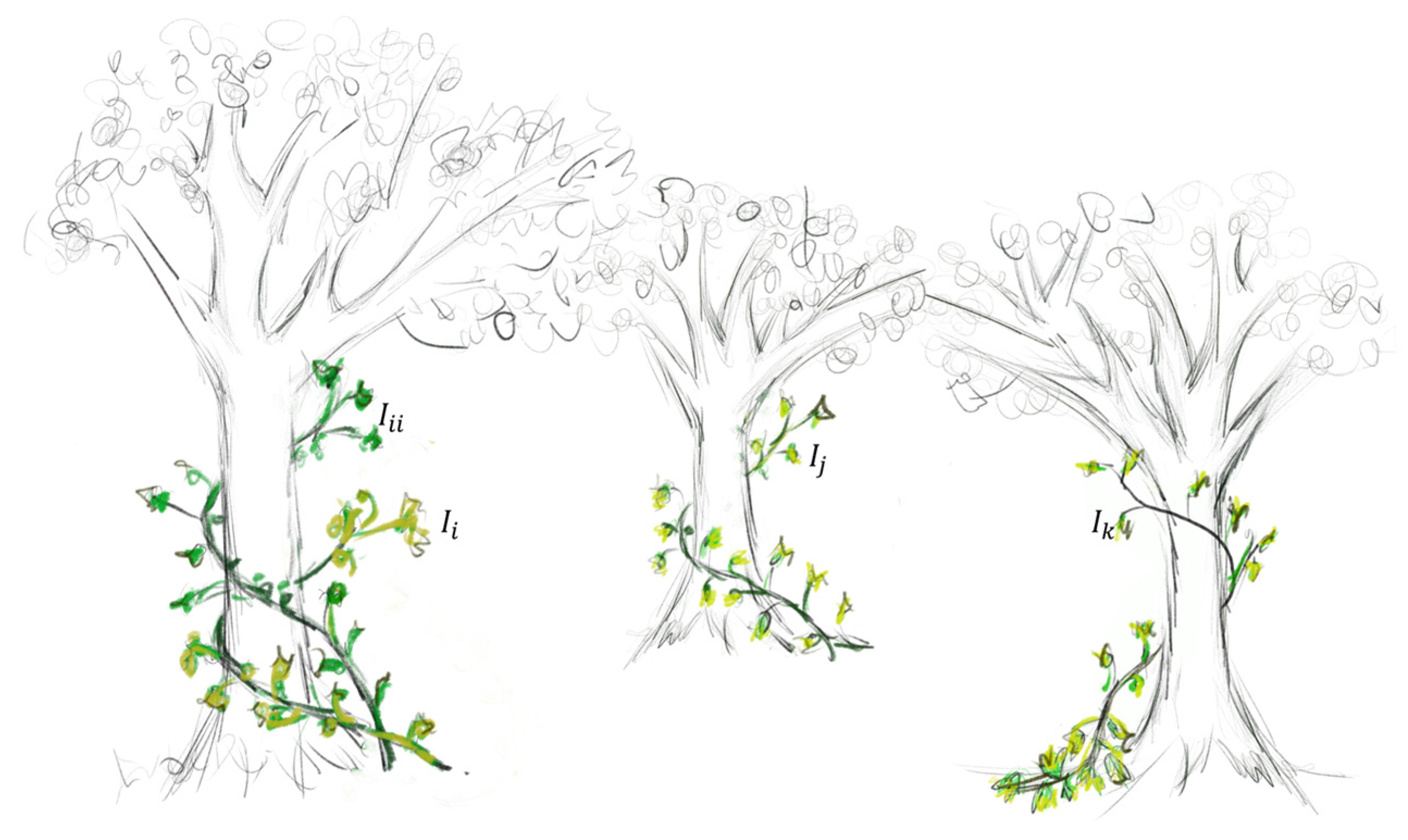 Biomimetics 10 00515 g002