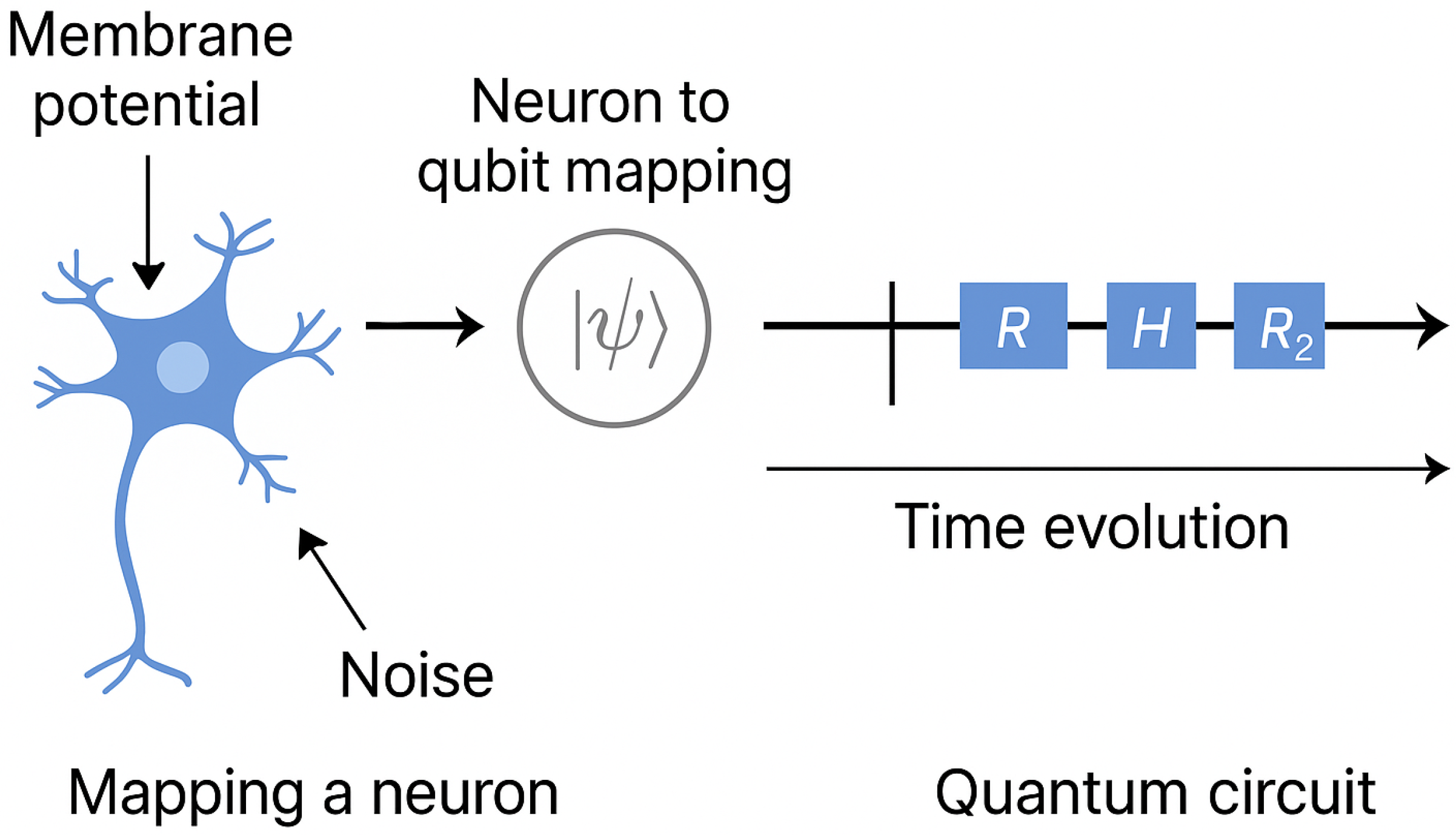 Biomimetics 10 00516 g004
