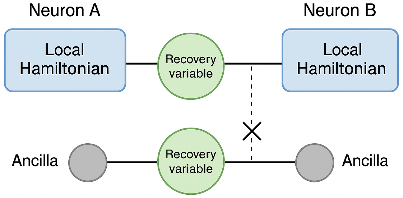 Biomimetics 10 00516 g005