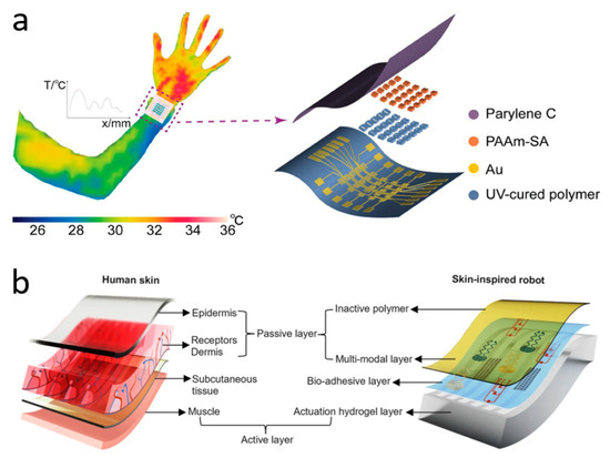 アリゾナ Ogden swap meet this weekend
