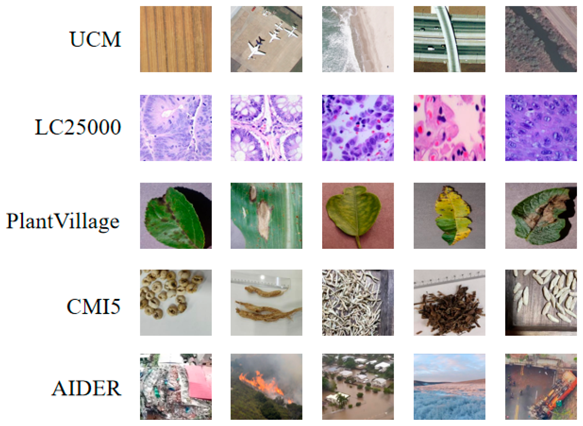 Biomimetics 10 00544 g003 Biomimetics 10 00544 g003