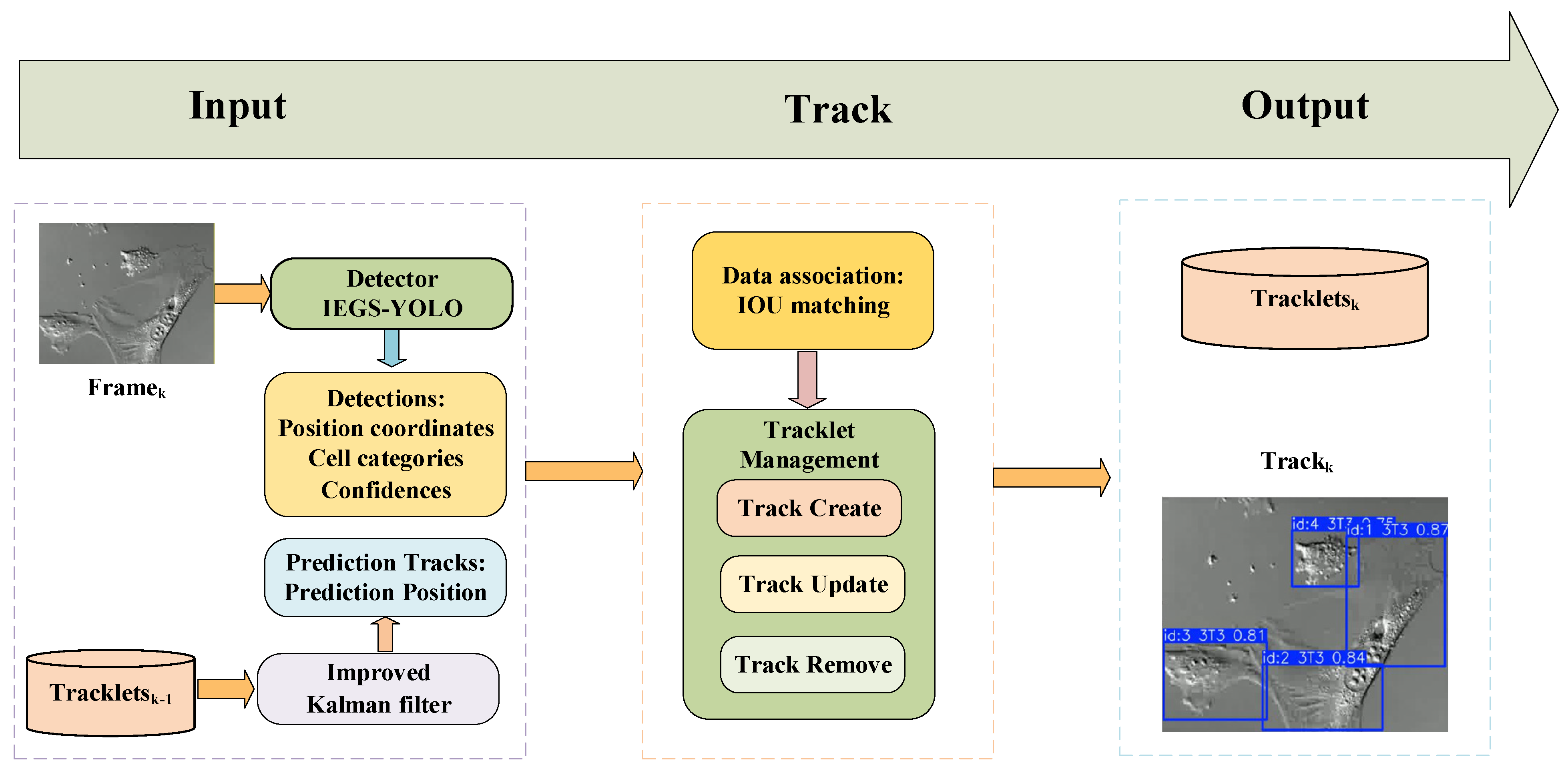 Biomimetics 10 00564 g001