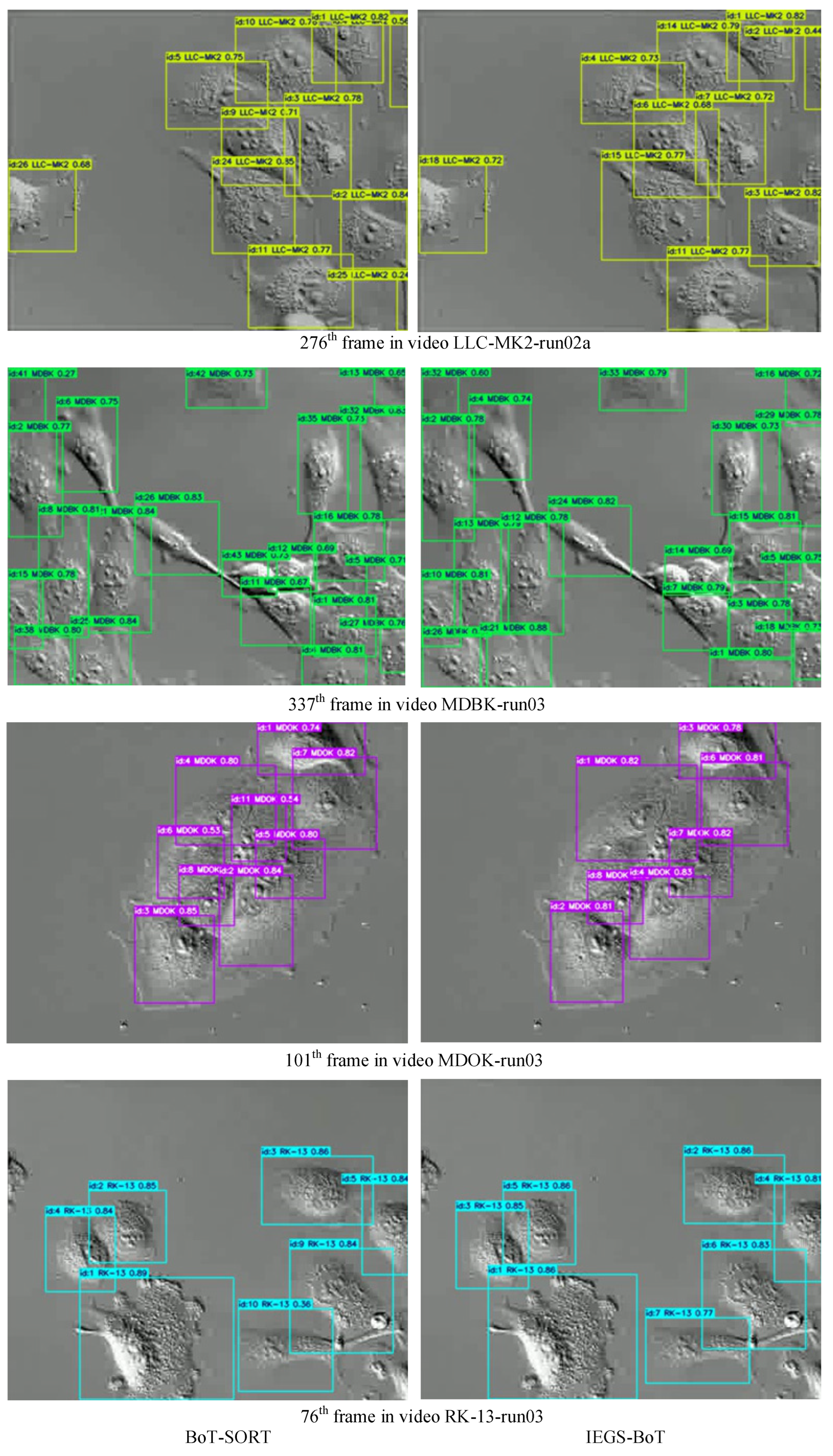 Biomimetics 10 00564 g009
