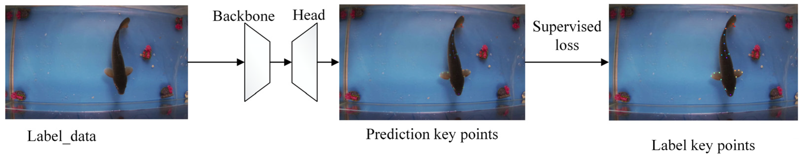 Biomimetics 10 00566 g001