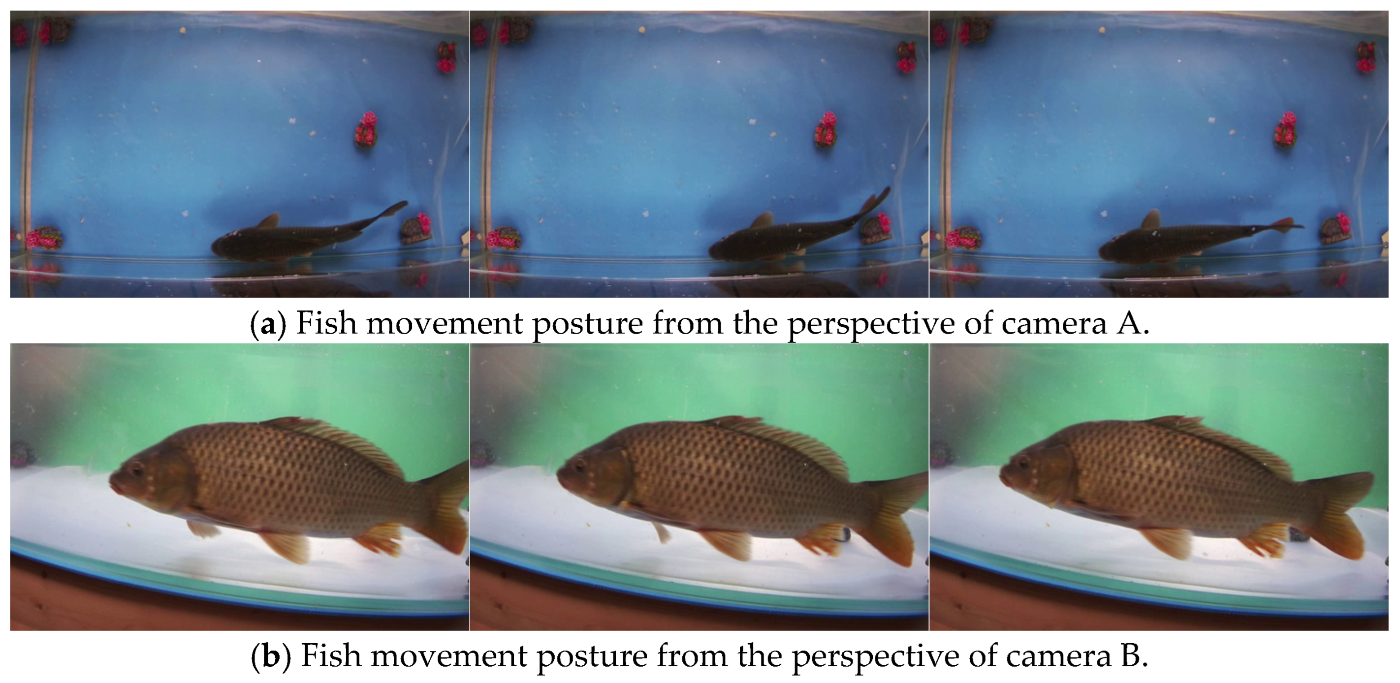 Biomimetics 10 00566 g008