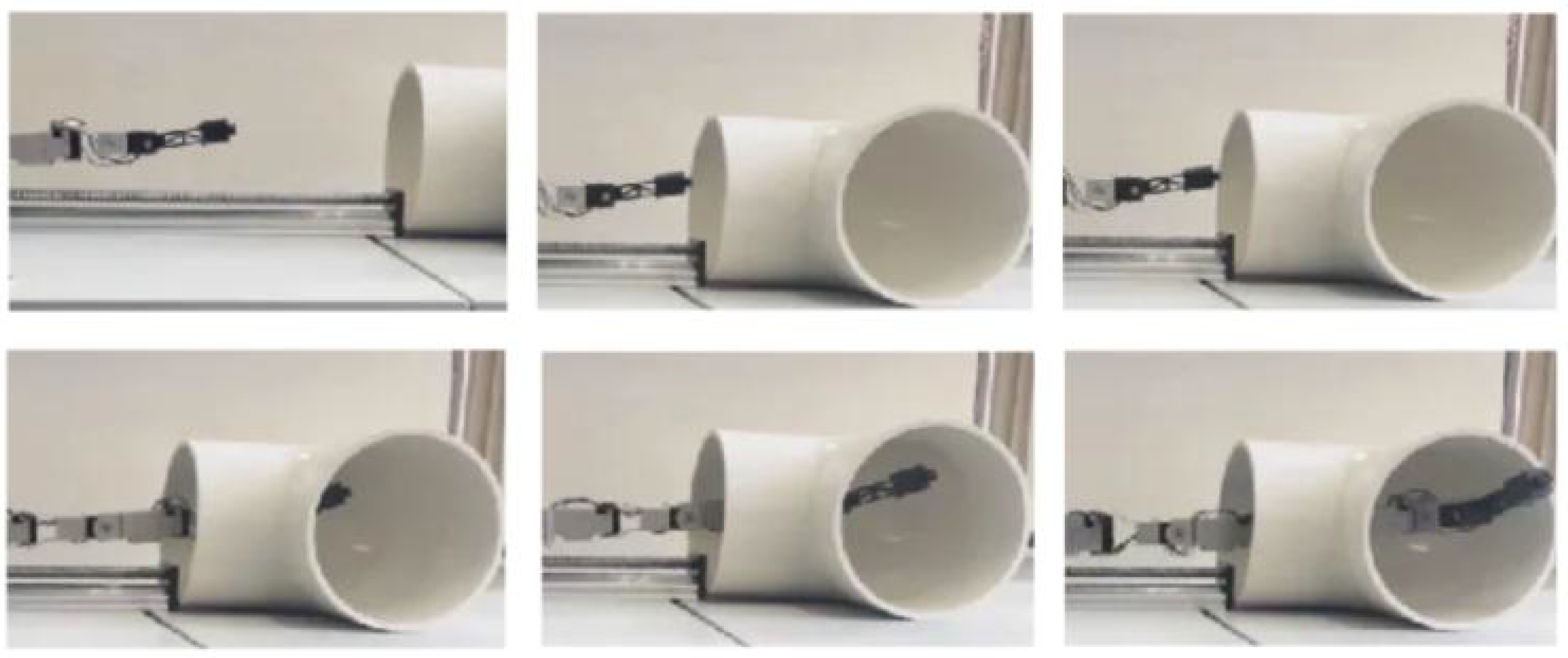 Biomimetics 10 00569 g017