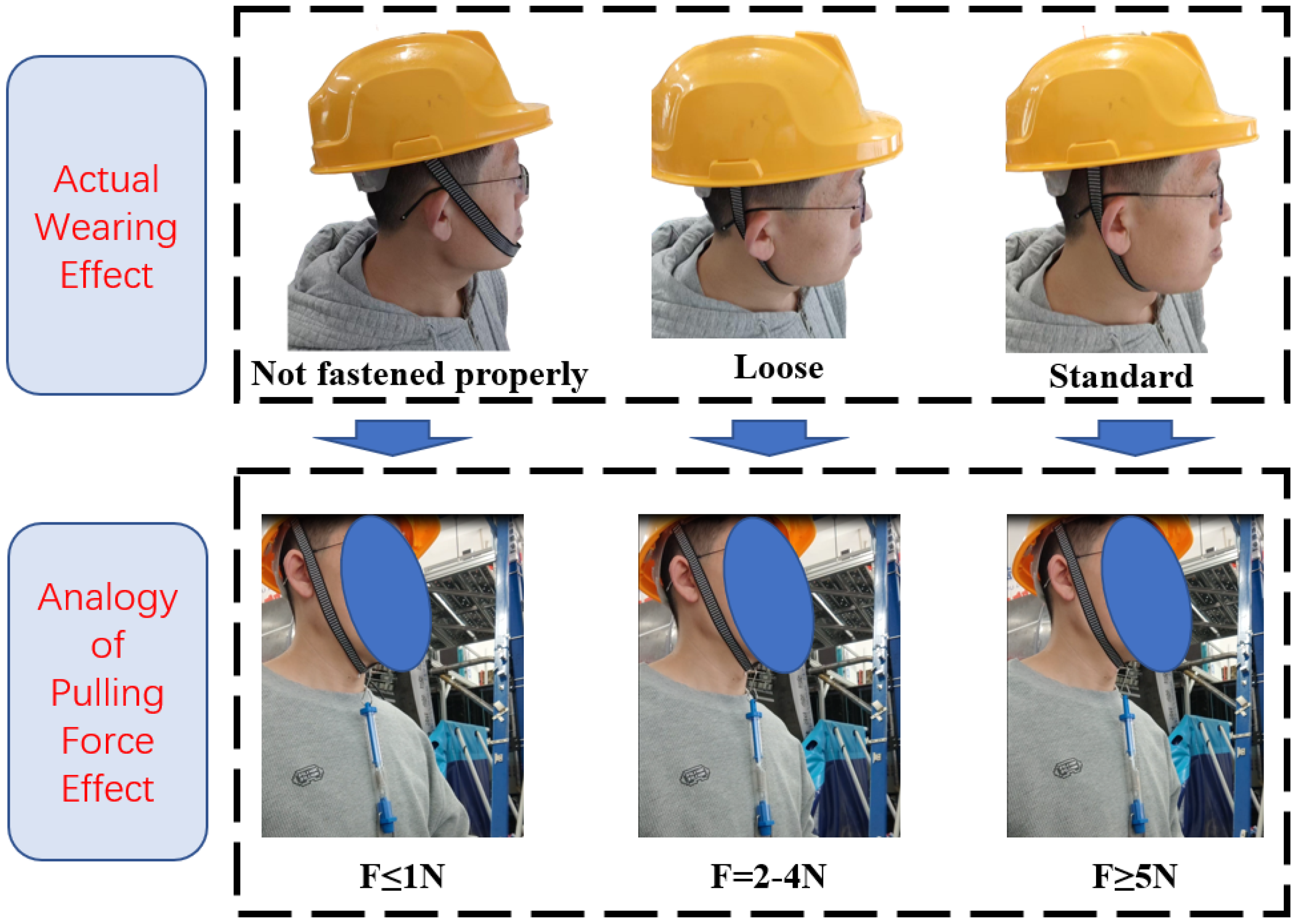 Biomimetics 10 00570 g004