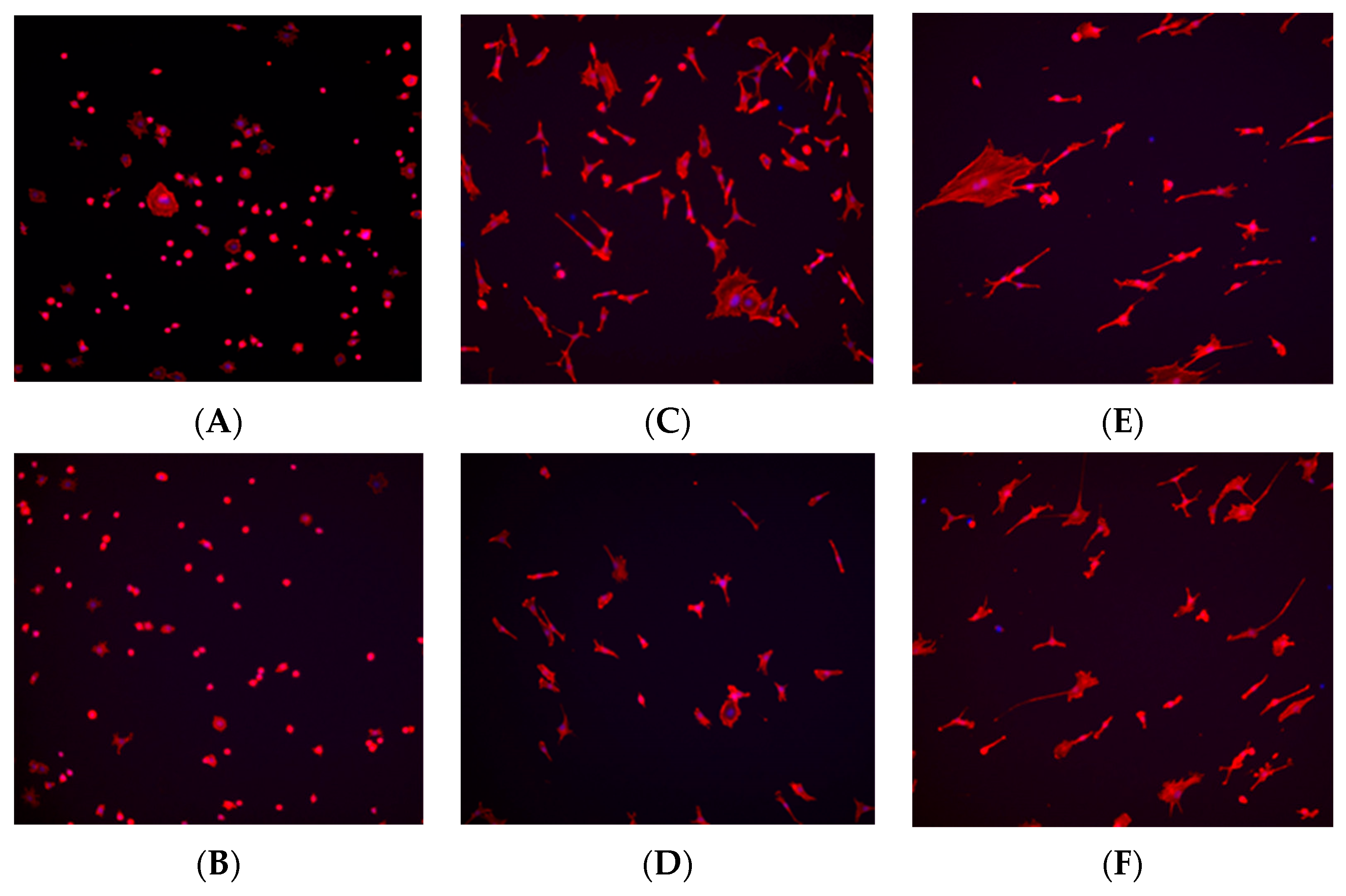Biomimetics 10 00571 g008