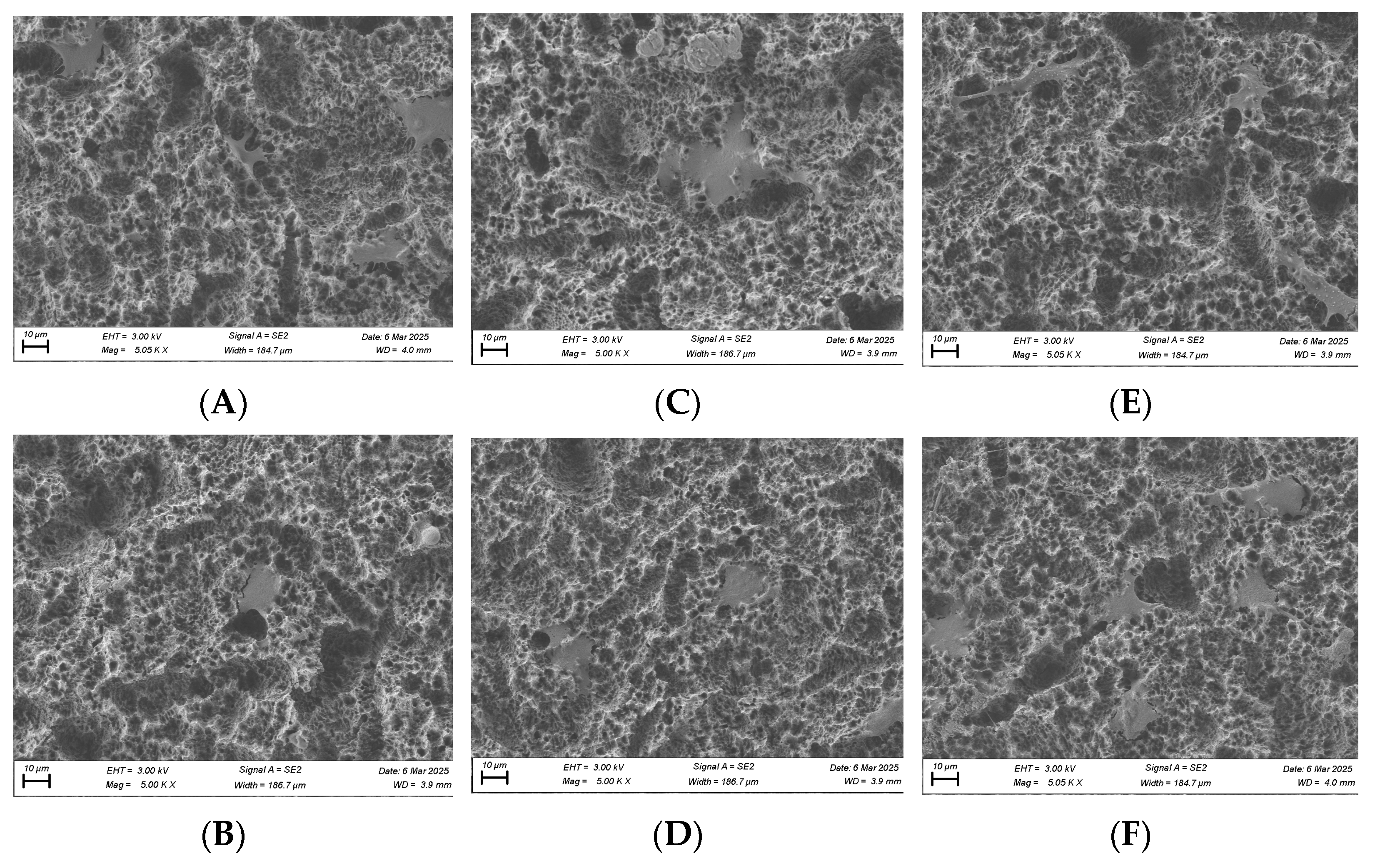 Biomimetics 10 00571 g011