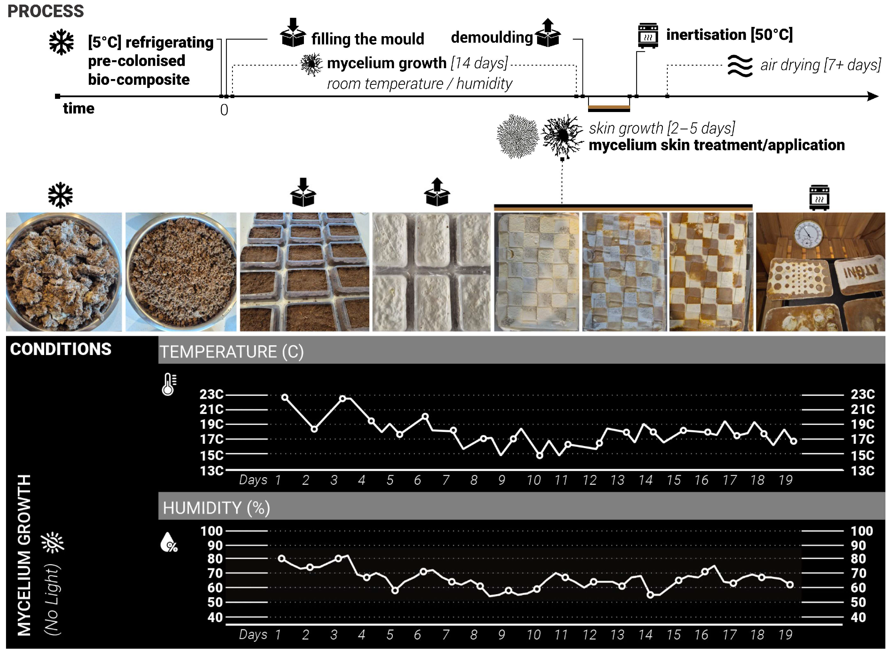 Biomimetics 10 00573 g002