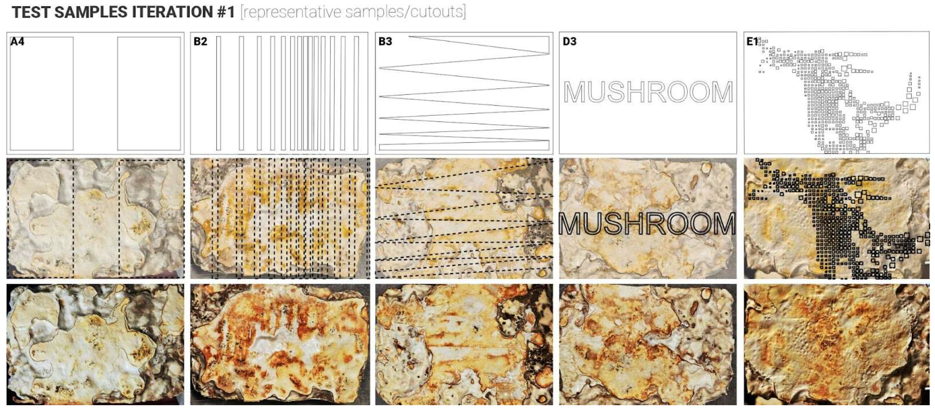 Biomimetics 10 00573 g004