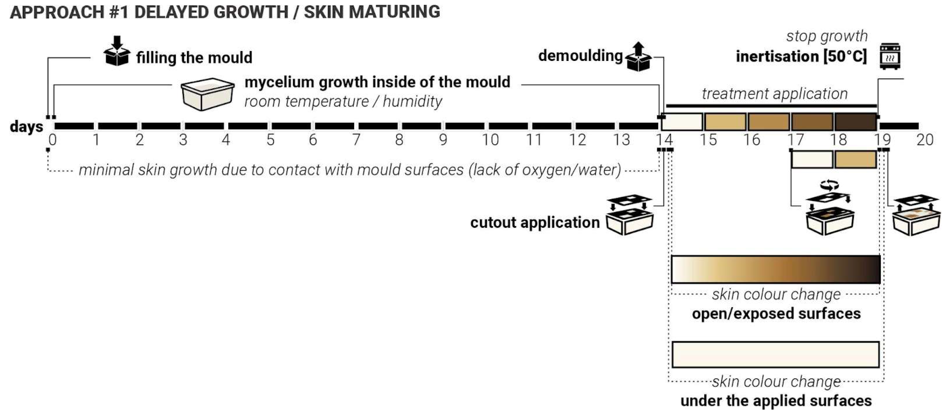 Biomimetics 10 00573 g006