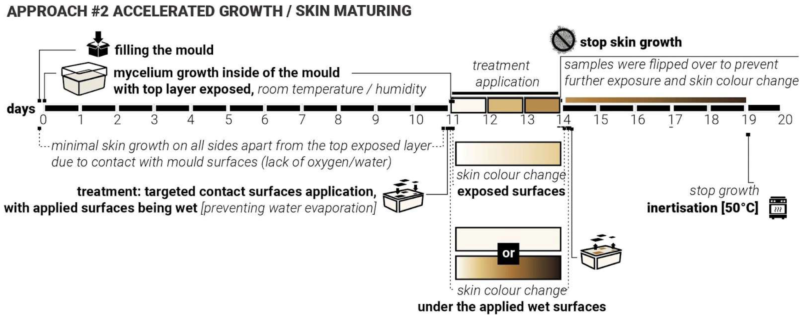 Biomimetics 10 00573 g007