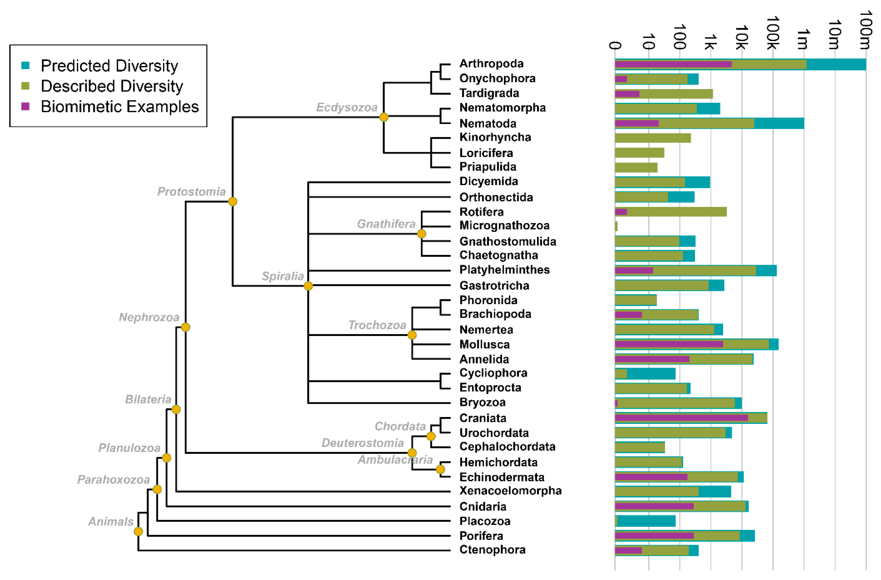 Biomimetics 10 00578 g003 Biomimetics 10 00578 g003