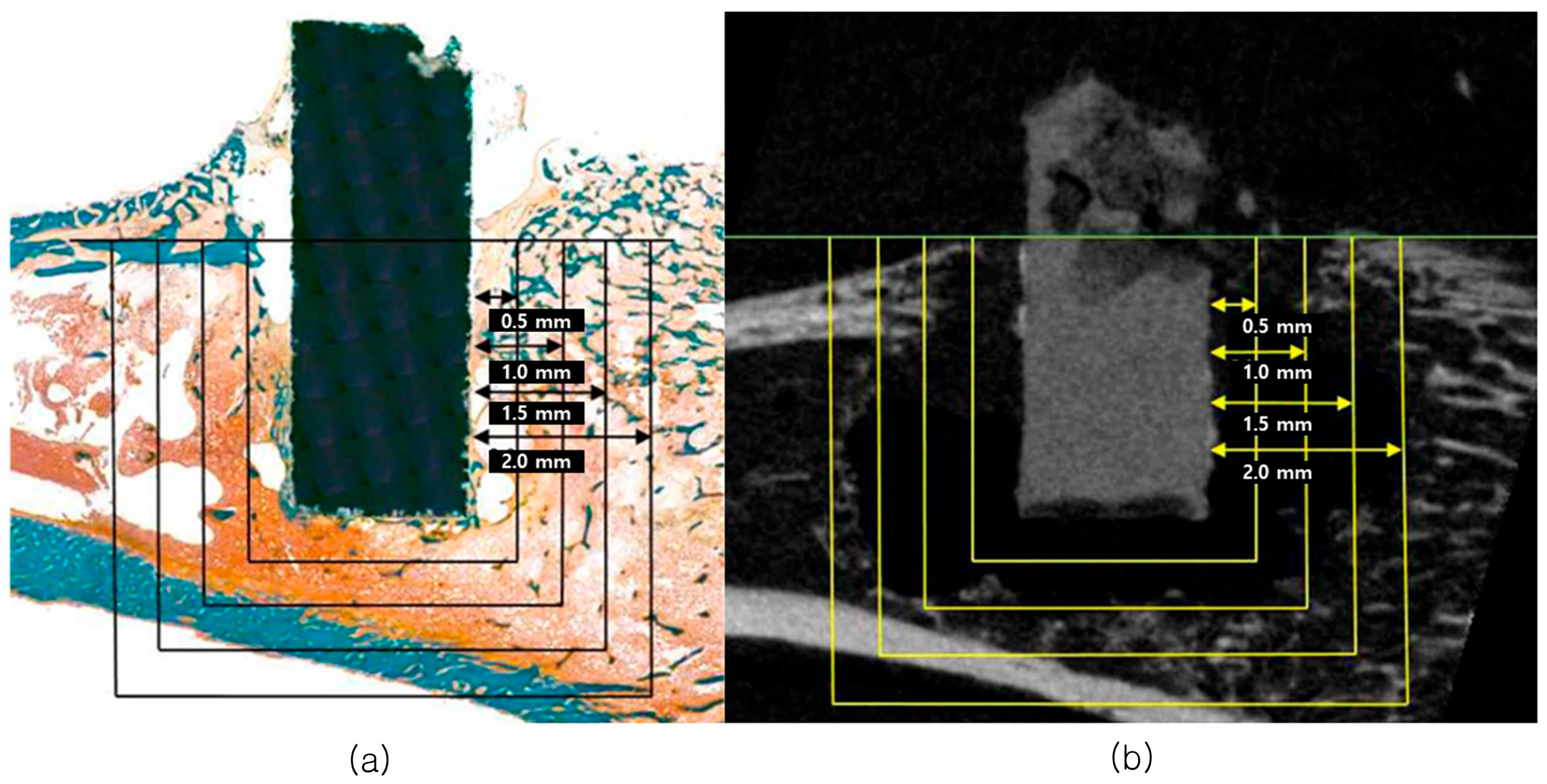 Biomimetics 10 00583 g001