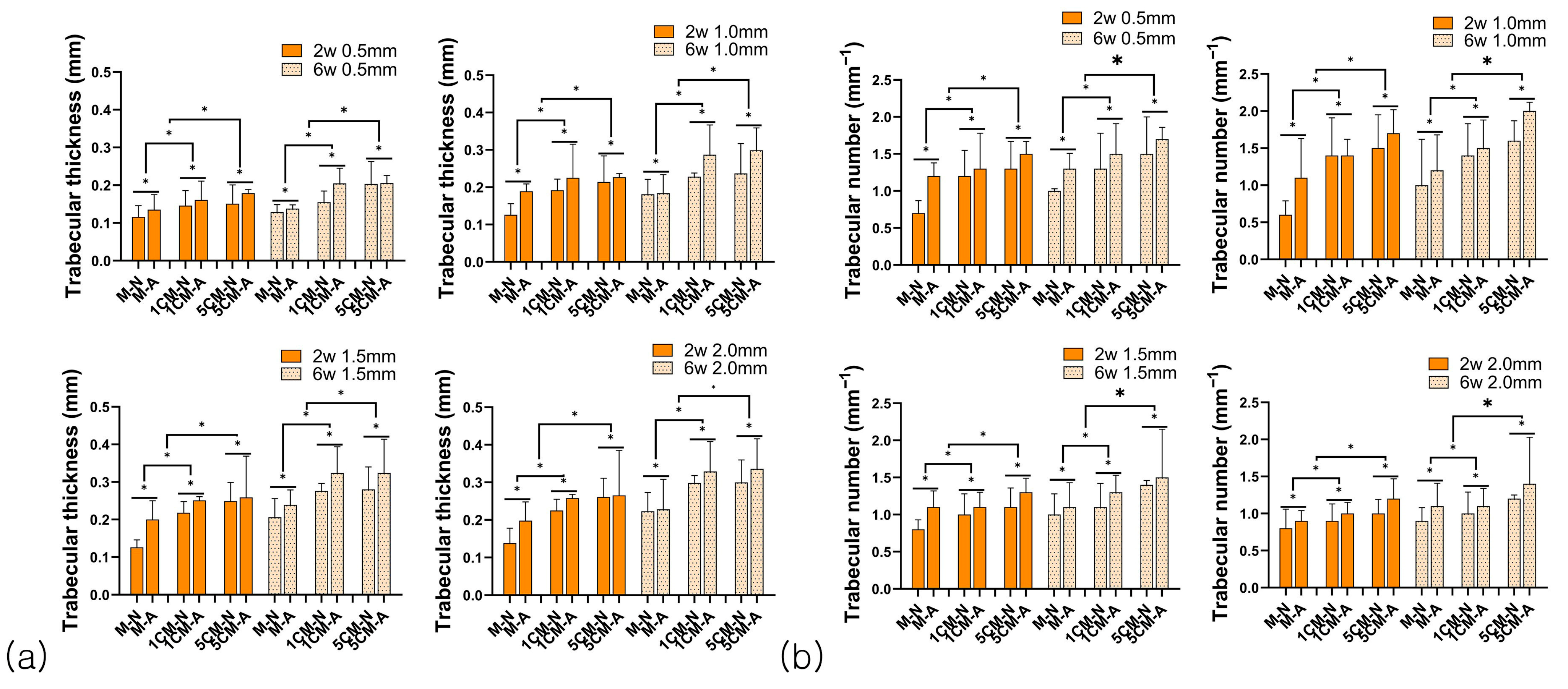 Biomimetics 10 00583 g005