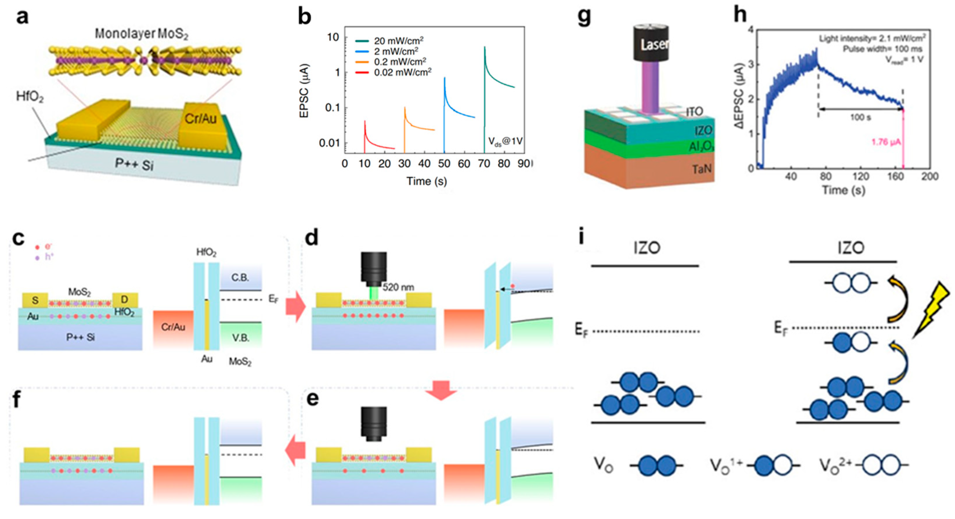 Biomimetics 10 00584 g003