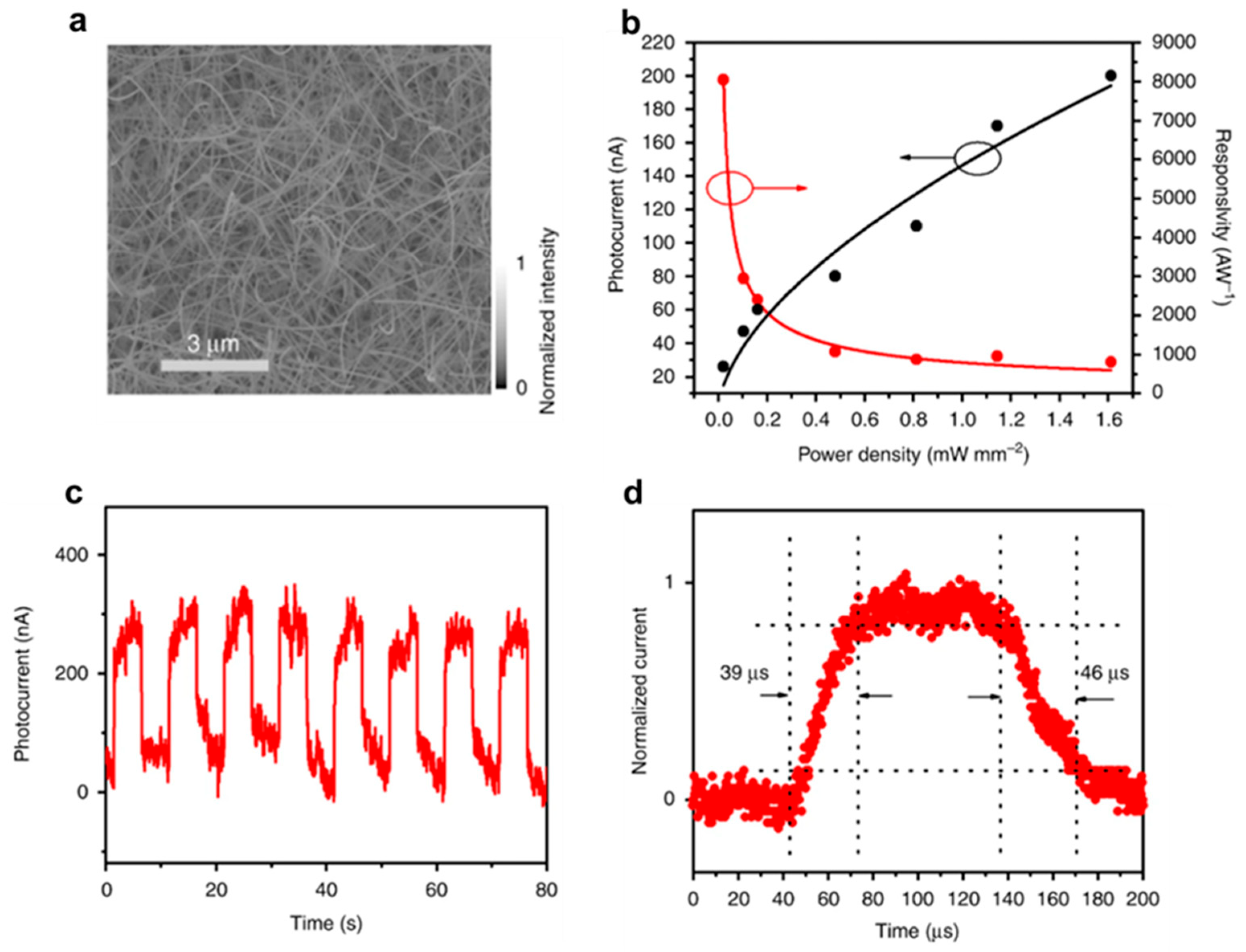 Biomimetics 10 00584 g006