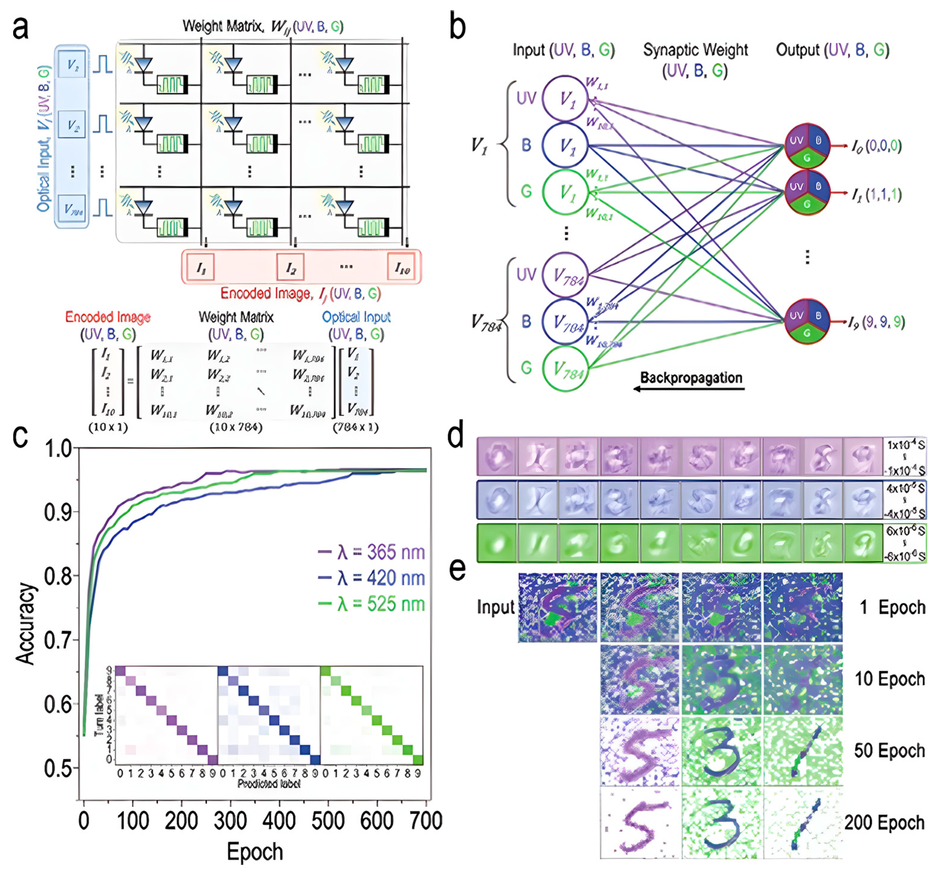 Biomimetics 10 00584 g014