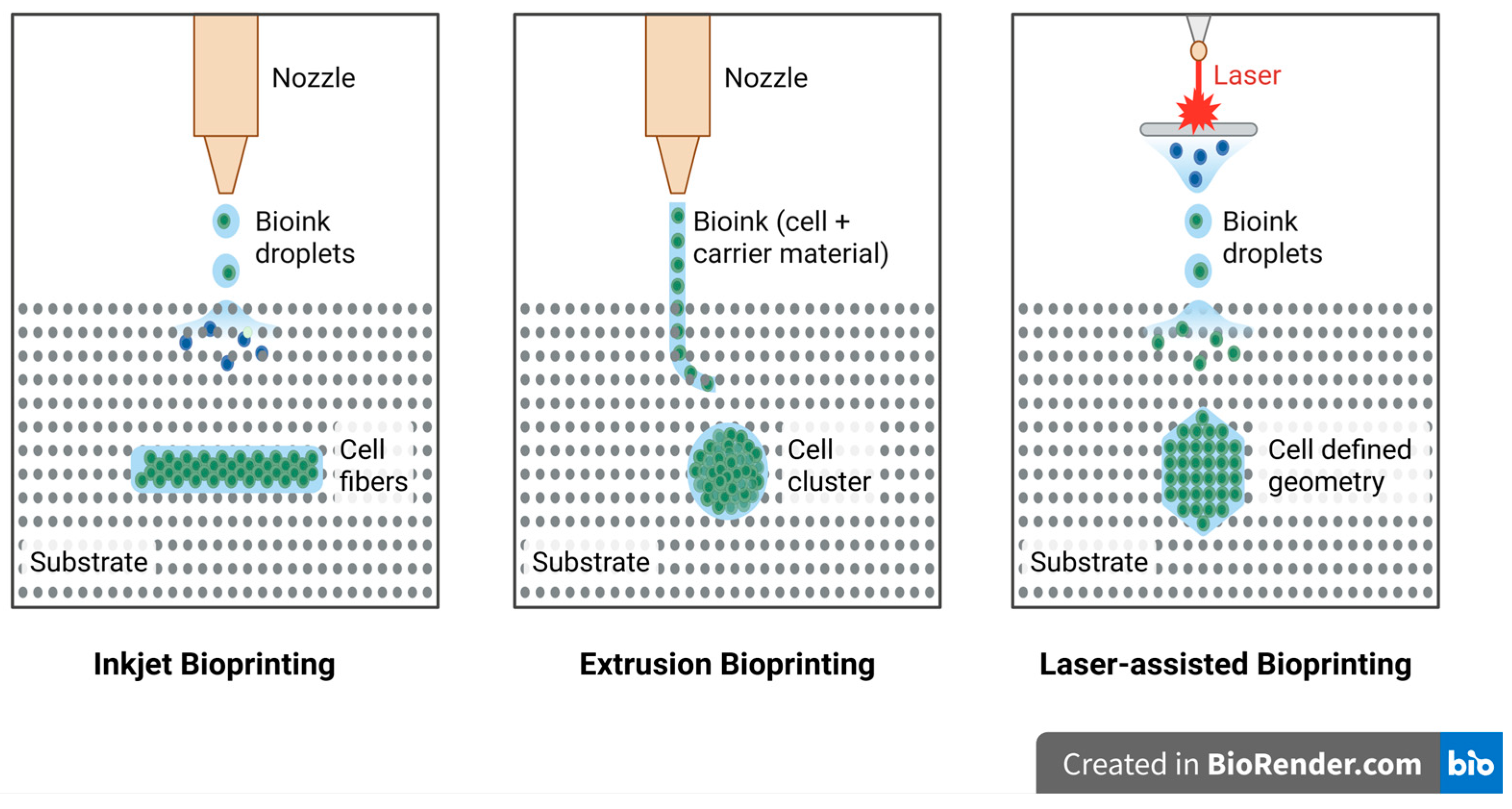 Biomimetics 10 00595 g001