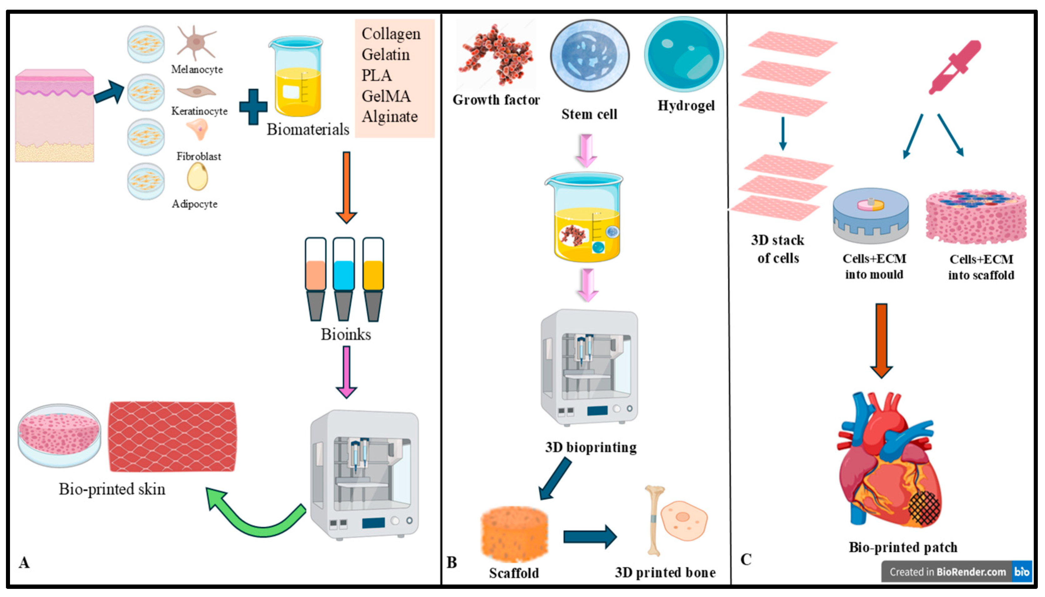 Biomimetics 10 00595 g002