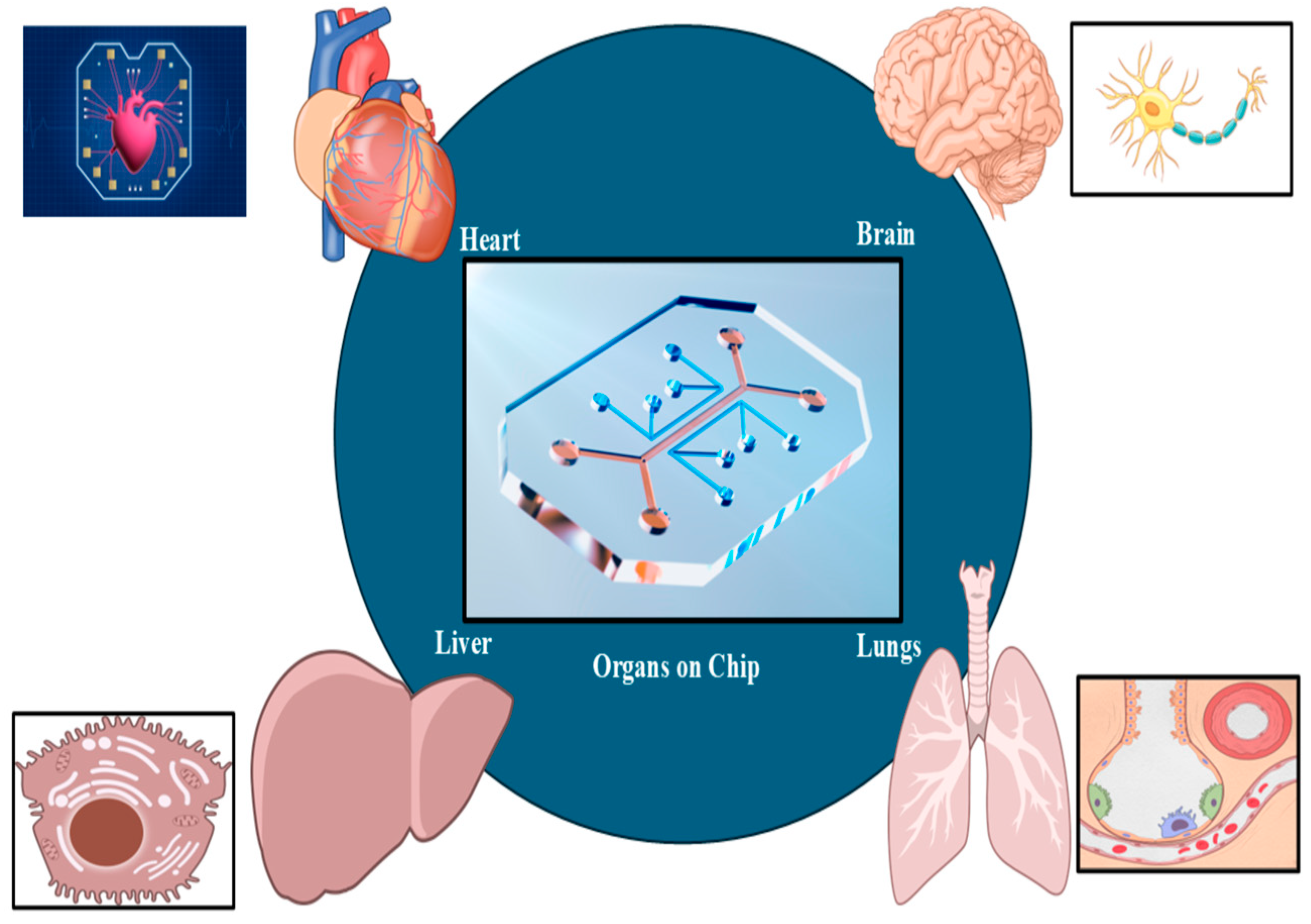 Biomimetics 10 00595 g003