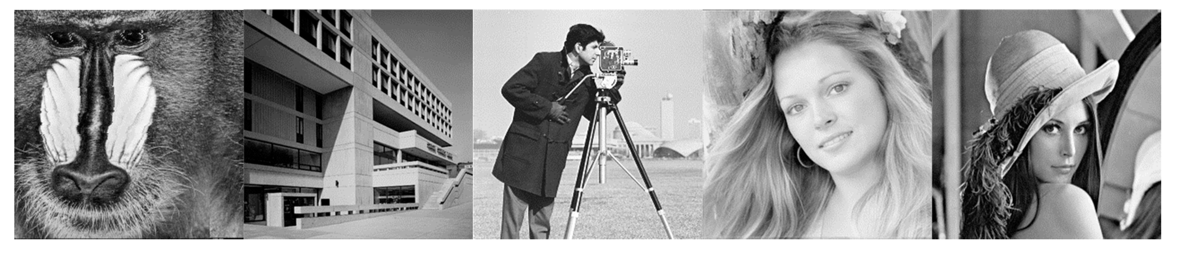 Biomimetics 10 00596 g011 Biomimetics 10 00596 g011