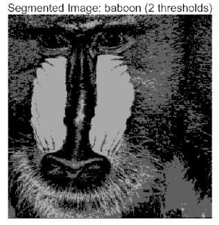 Biomimetics 10 00596 i001 Biomimetics 10 00596 i001