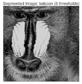 Biomimetics 10 00596 i004 Biomimetics 10 00596 i004