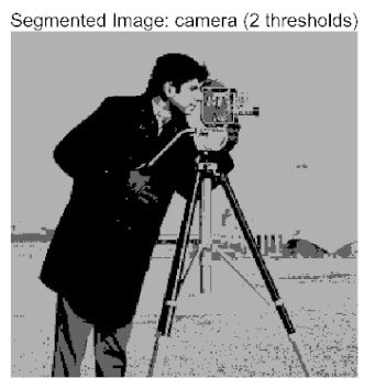 Biomimetics 10 00596 i017 Biomimetics 10 00596 i017