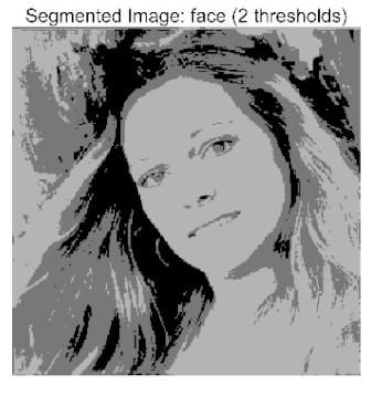 Biomimetics 10 00596 i025 Biomimetics 10 00596 i025