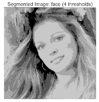 Biomimetics 10 00596 i026 Biomimetics 10 00596 i026