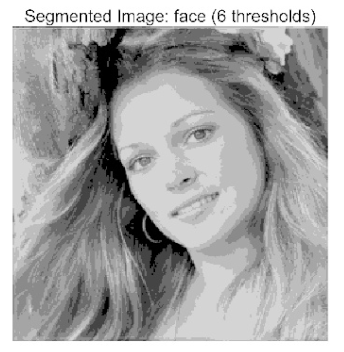 Biomimetics 10 00596 i027 Biomimetics 10 00596 i027