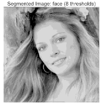 Biomimetics 10 00596 i028 Biomimetics 10 00596 i028