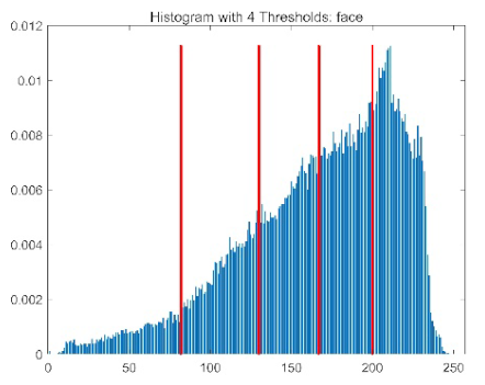 Biomimetics 10 00596 i030 Biomimetics 10 00596 i030