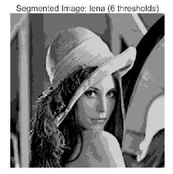 Biomimetics 10 00596 i035 Biomimetics 10 00596 i035