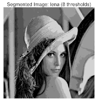 Biomimetics 10 00596 i036 Biomimetics 10 00596 i036