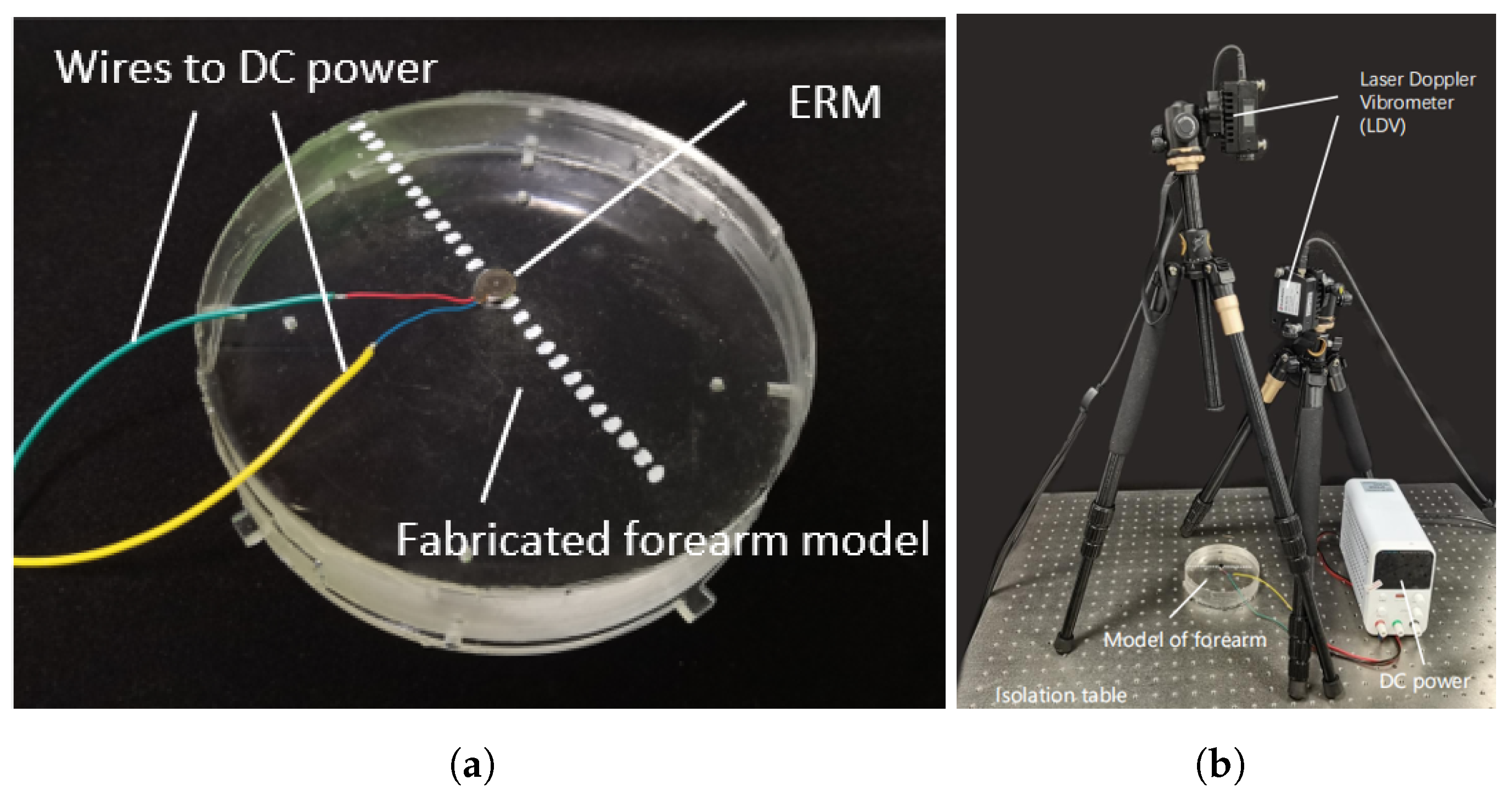 Biomimetics 10 00597 g005