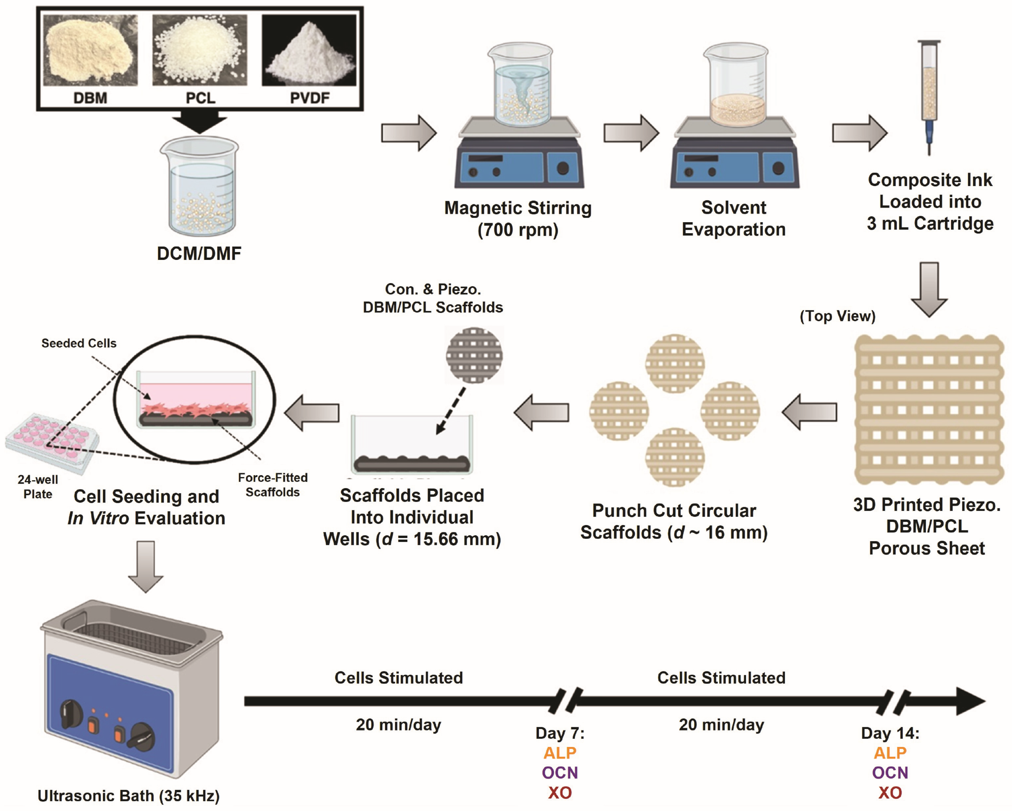 Biomimetics 10 00598 g001