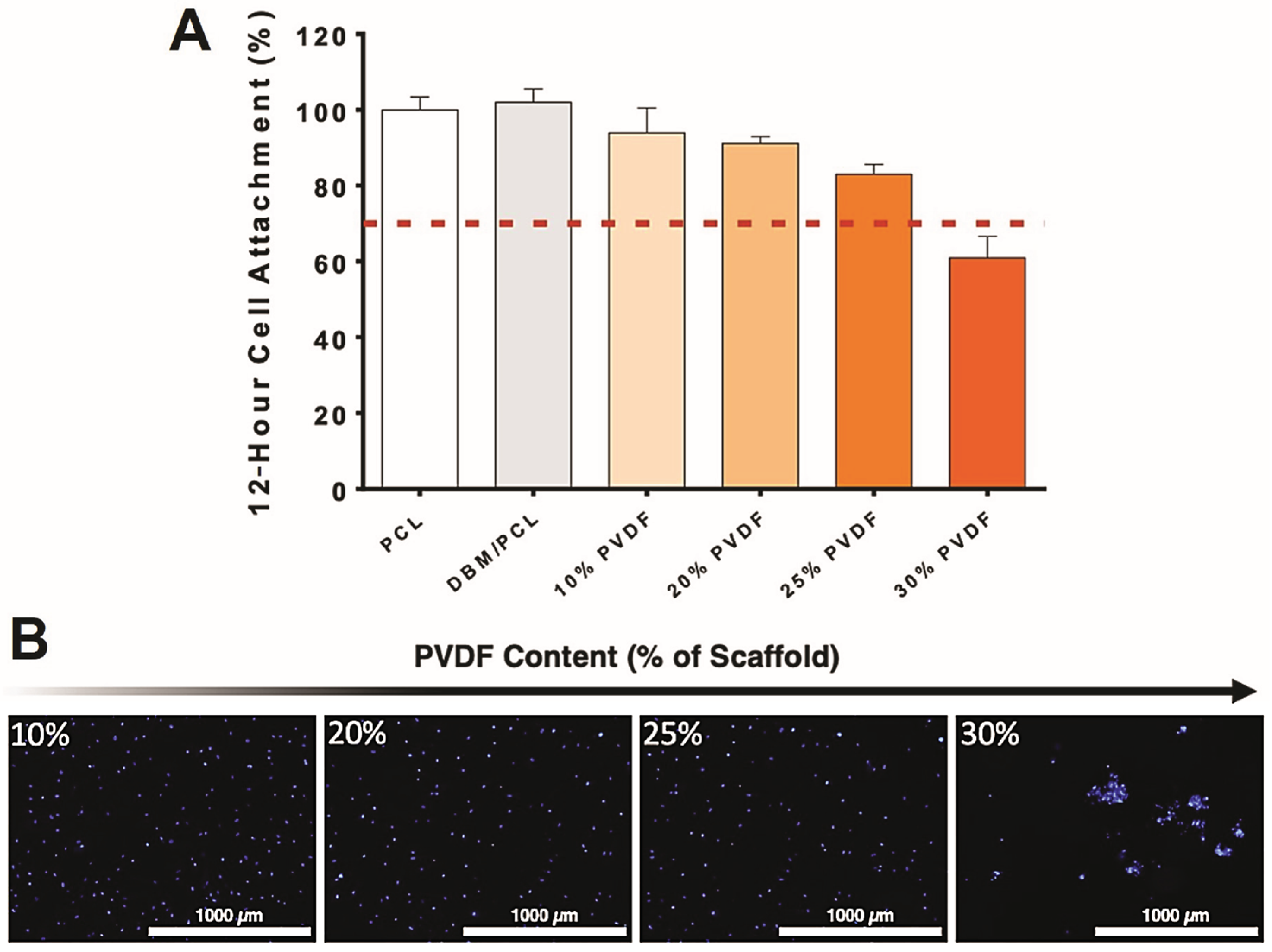 Biomimetics 10 00598 g003