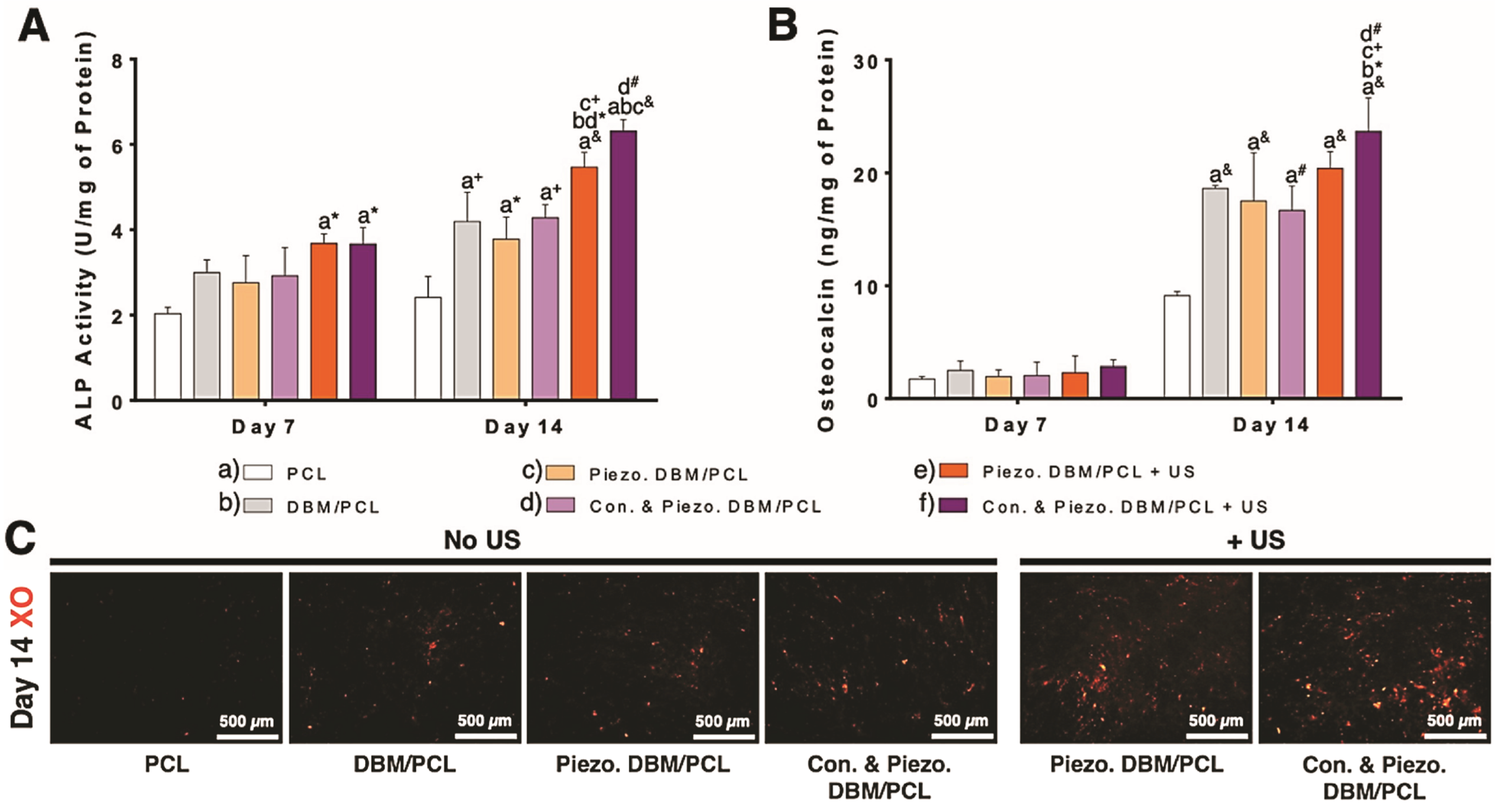 Biomimetics 10 00598 g004