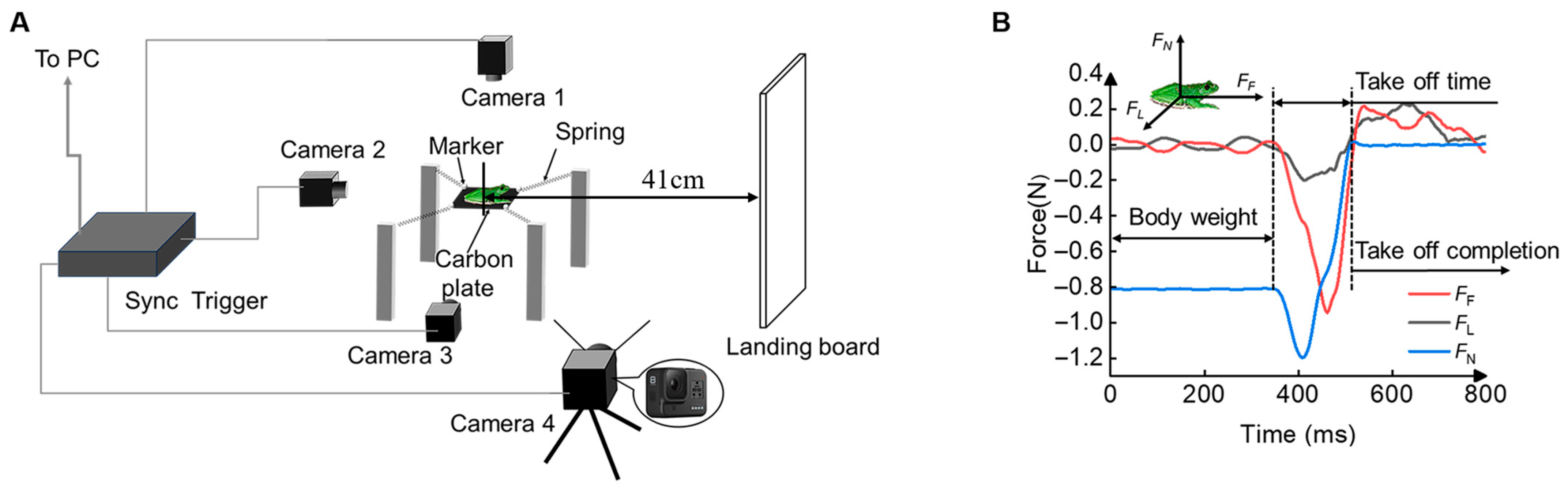 Biomimetics 10 00604 g002 Biomimetics 10 00604 g002