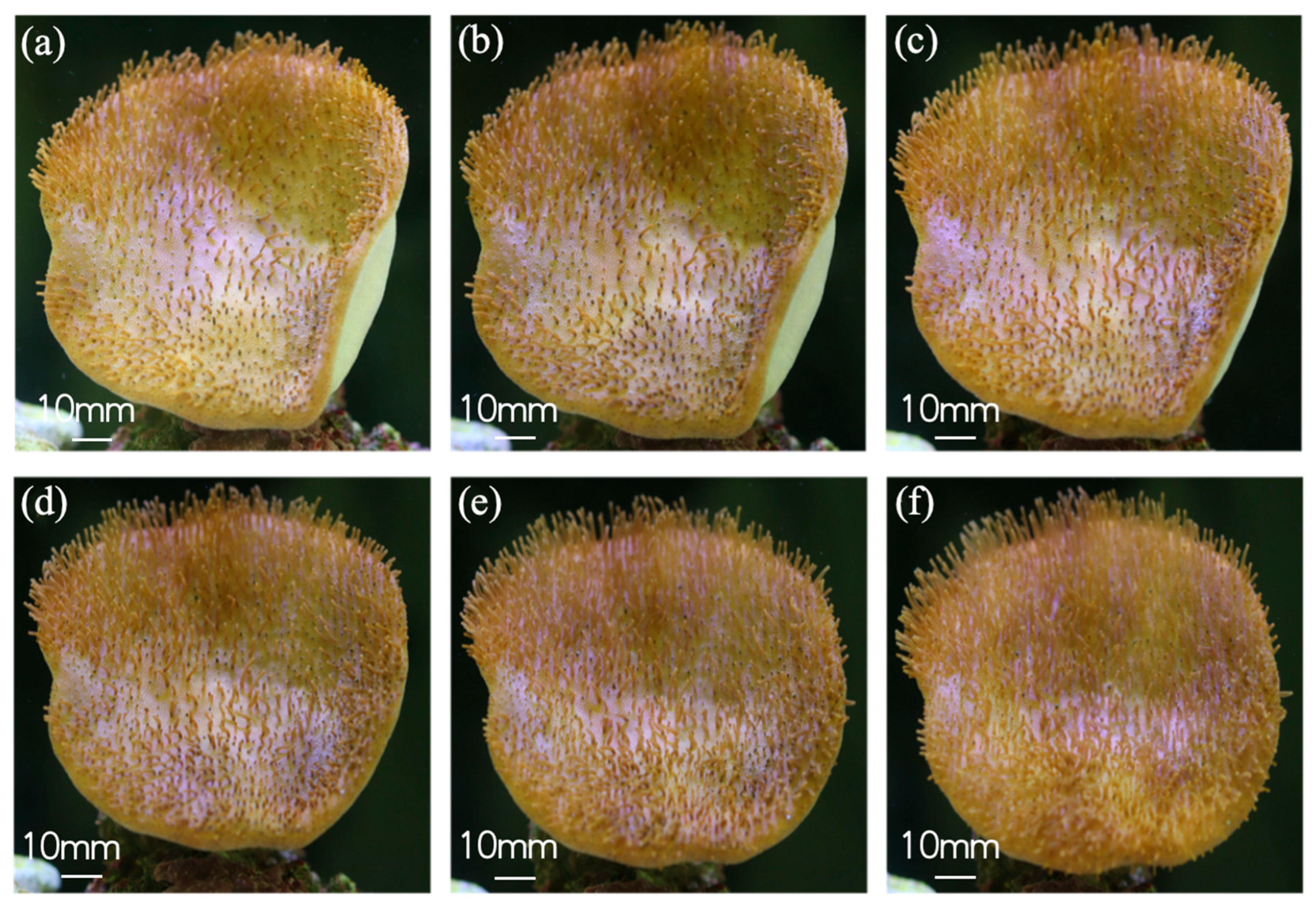Biomimetics 10 00606 g005 Biomimetics 10 00606 g005
