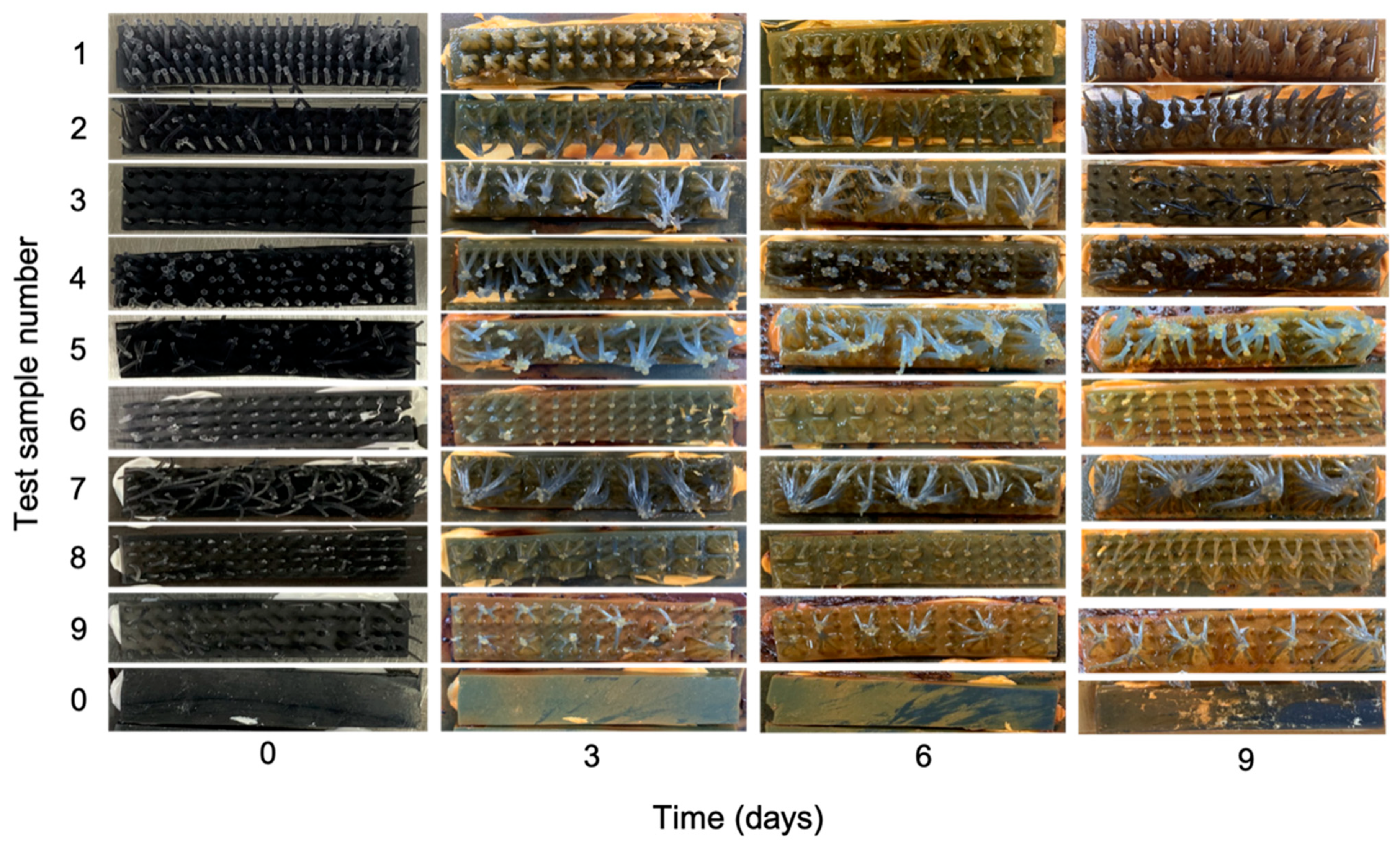 Biomimetics 10 00606 g009 Biomimetics 10 00606 g009