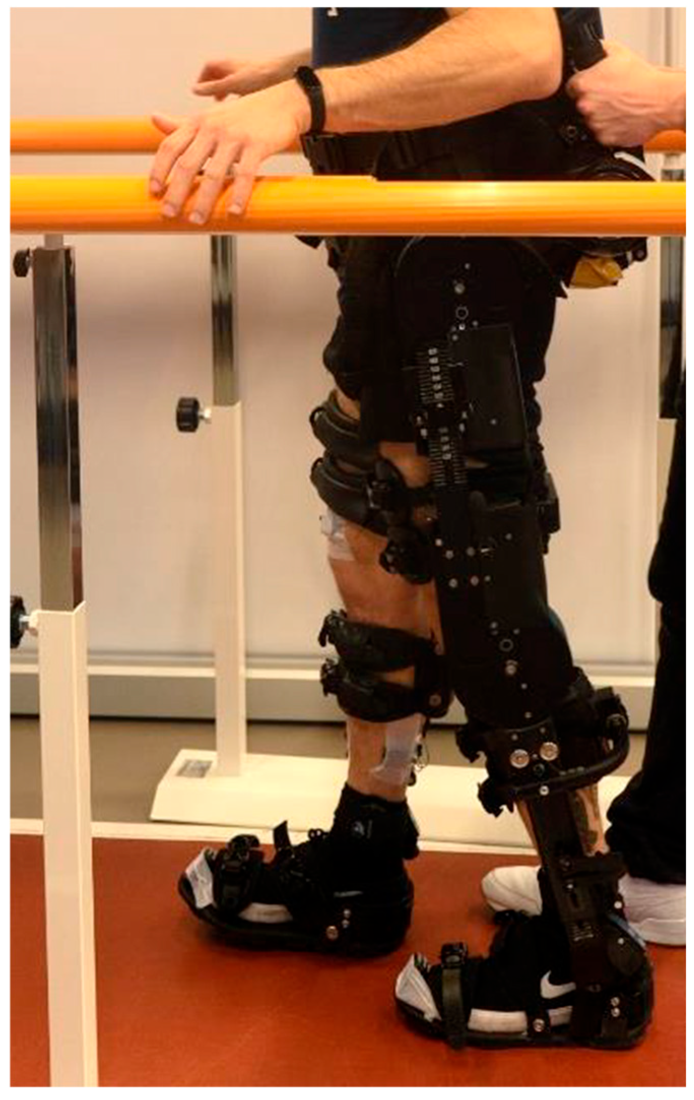 Biomimetics 10 00617 g001