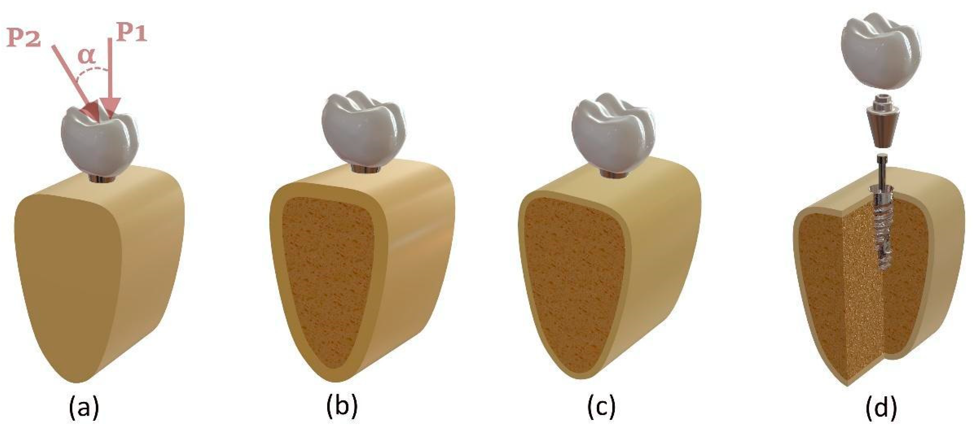 Biomimetics 10 00619 g001 Biomimetics 10 00619 g001