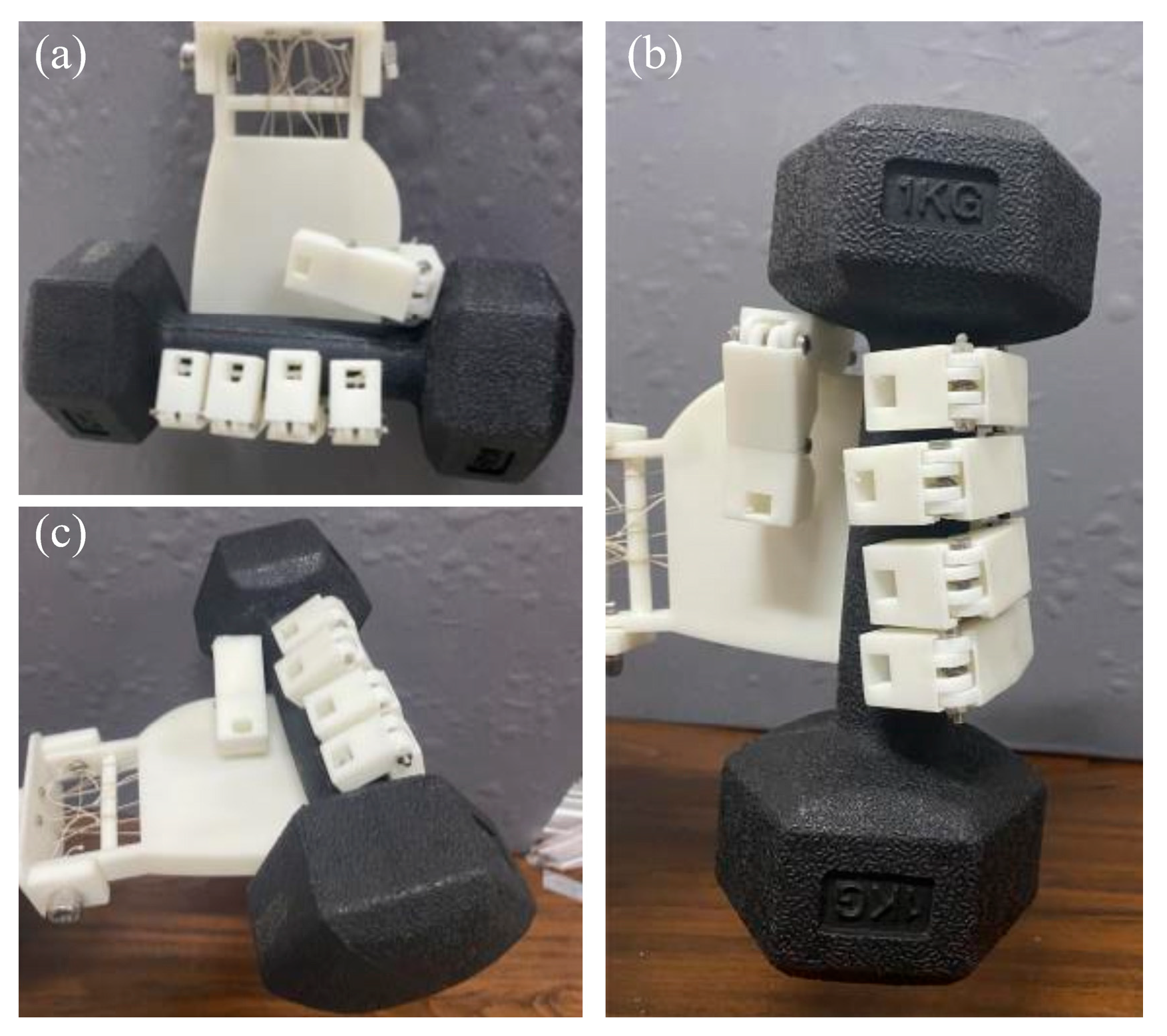 Biomimetics 10 00621 g015