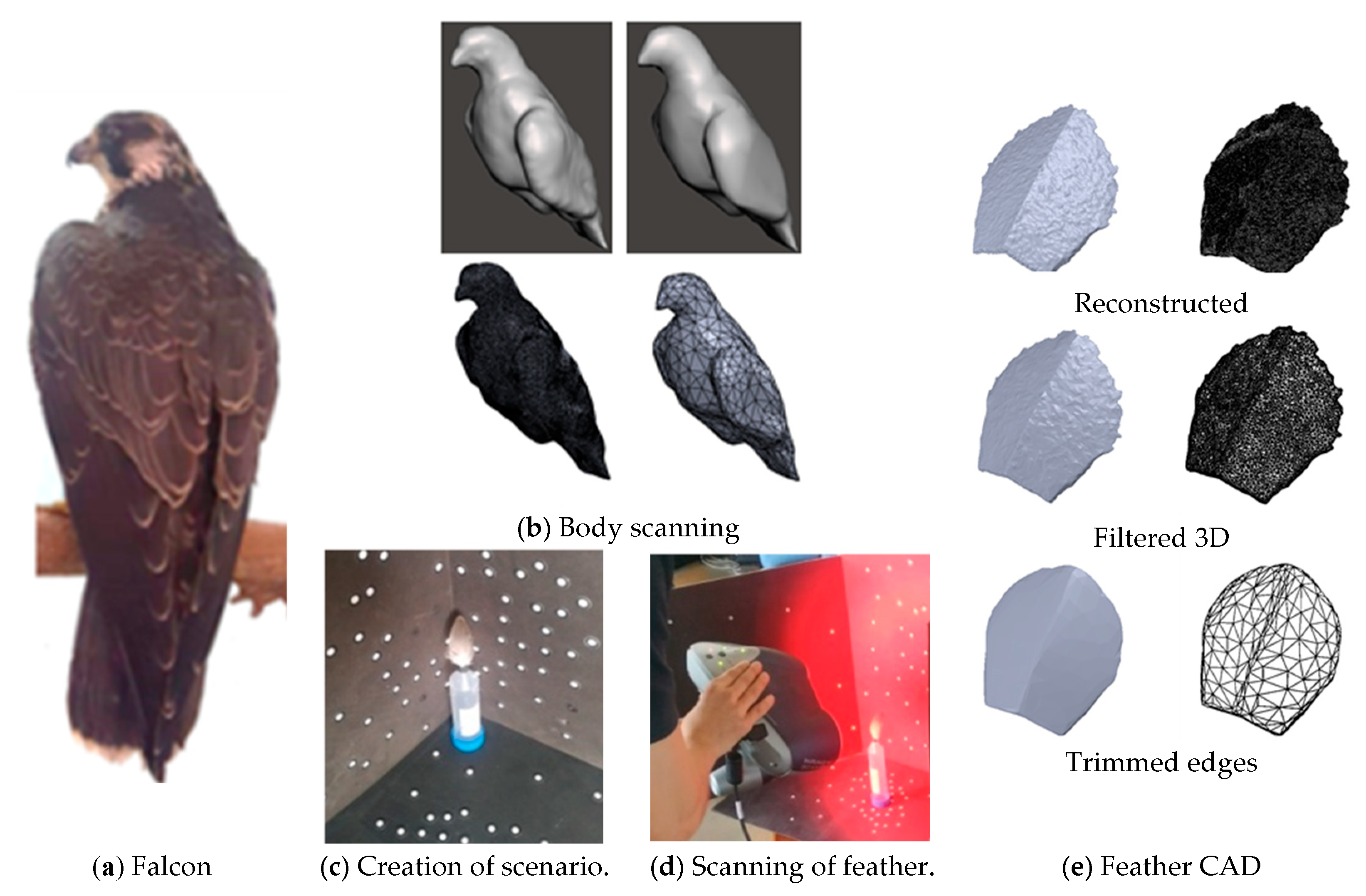 Biomimetics 10 00622 g002