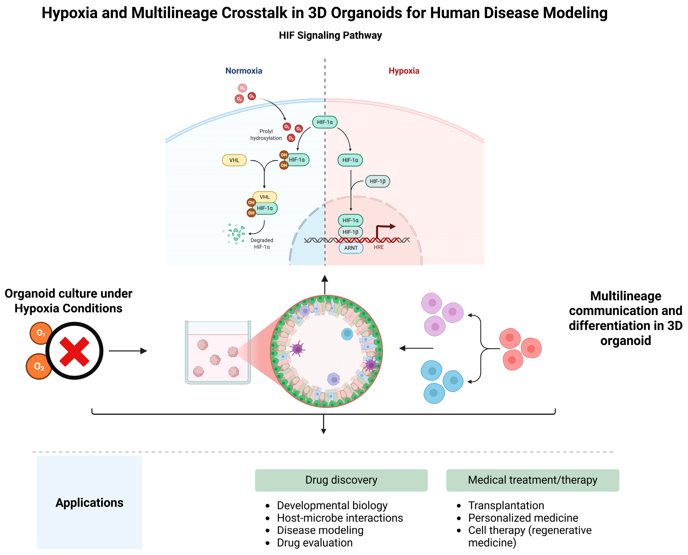 Biomimetics 10 00624 g001 Biomimetics 10 00624 g001